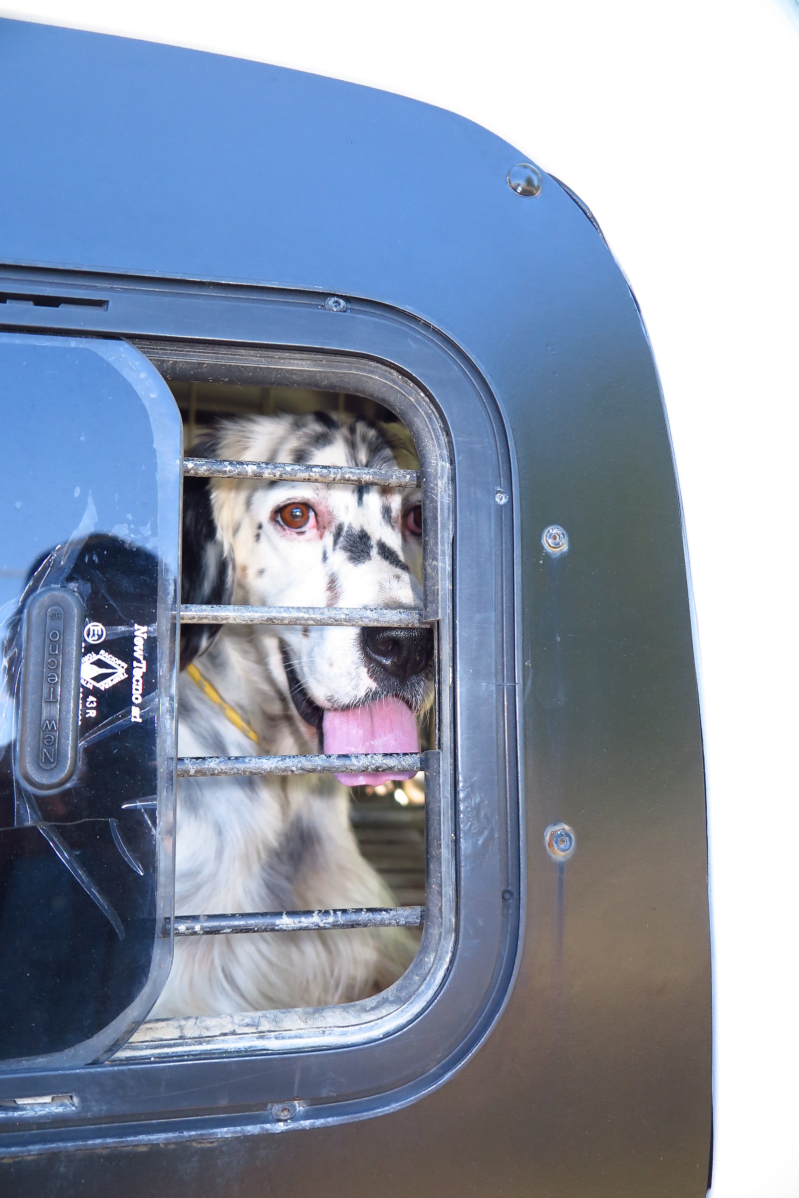 I go with my master.