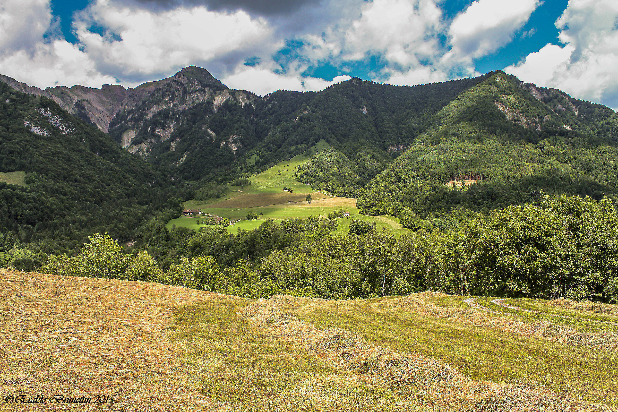 Prati di Pani - Raveo (Ud)