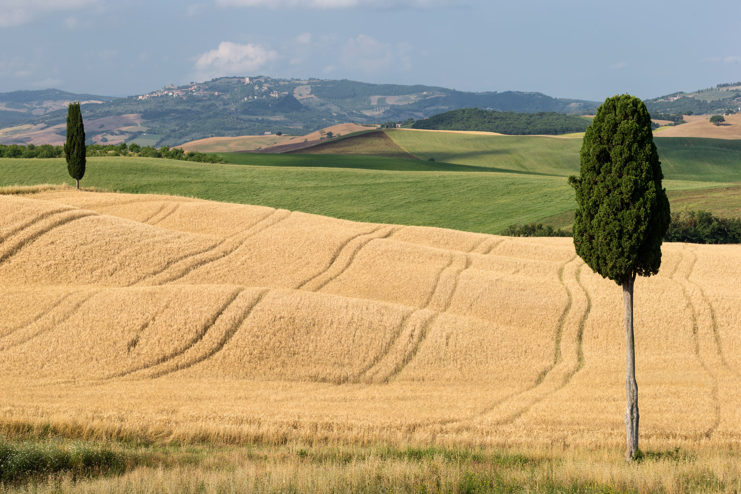 Dalle parti di Pienza 2