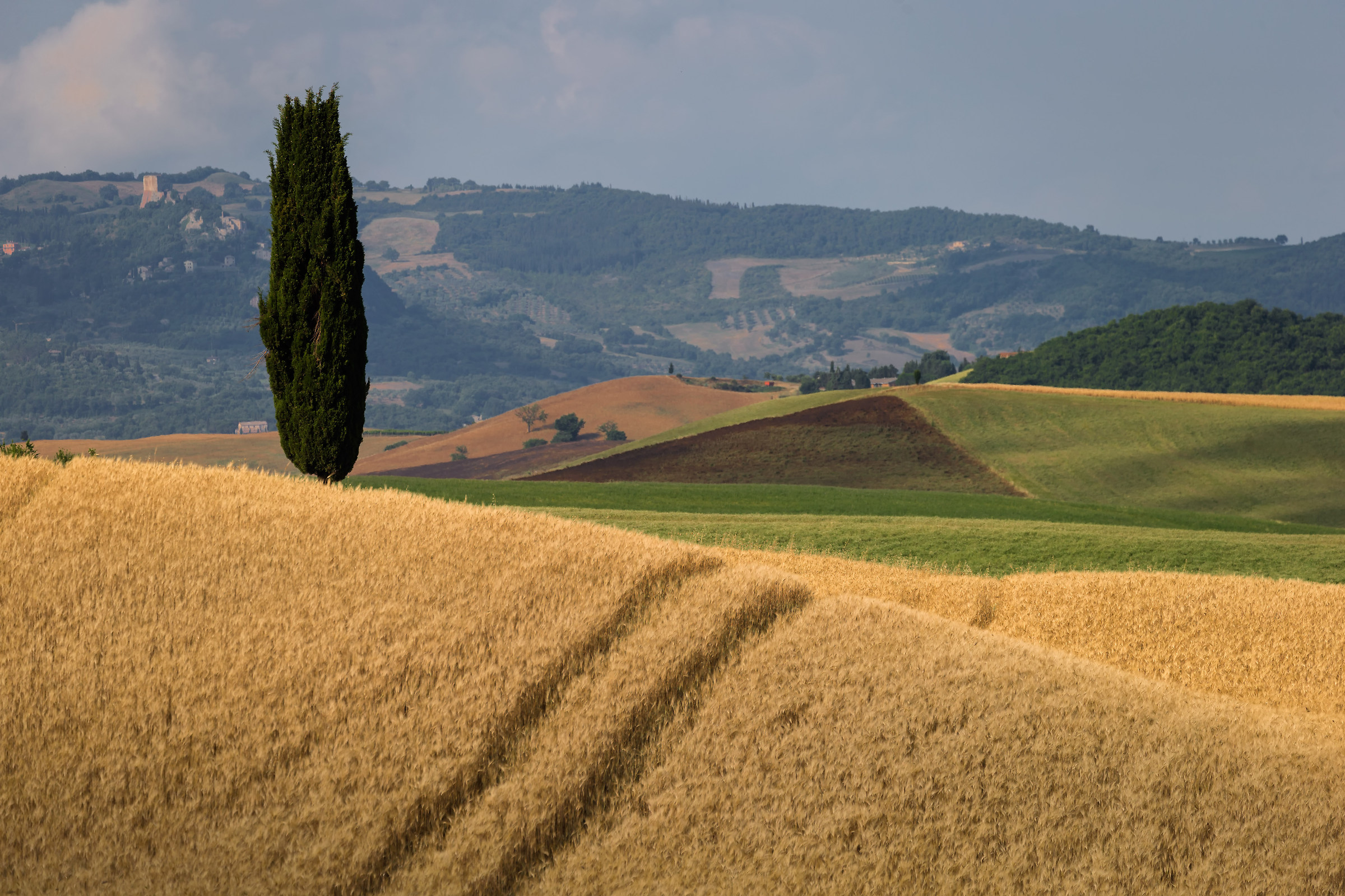 Dalle parti di Pienza 3