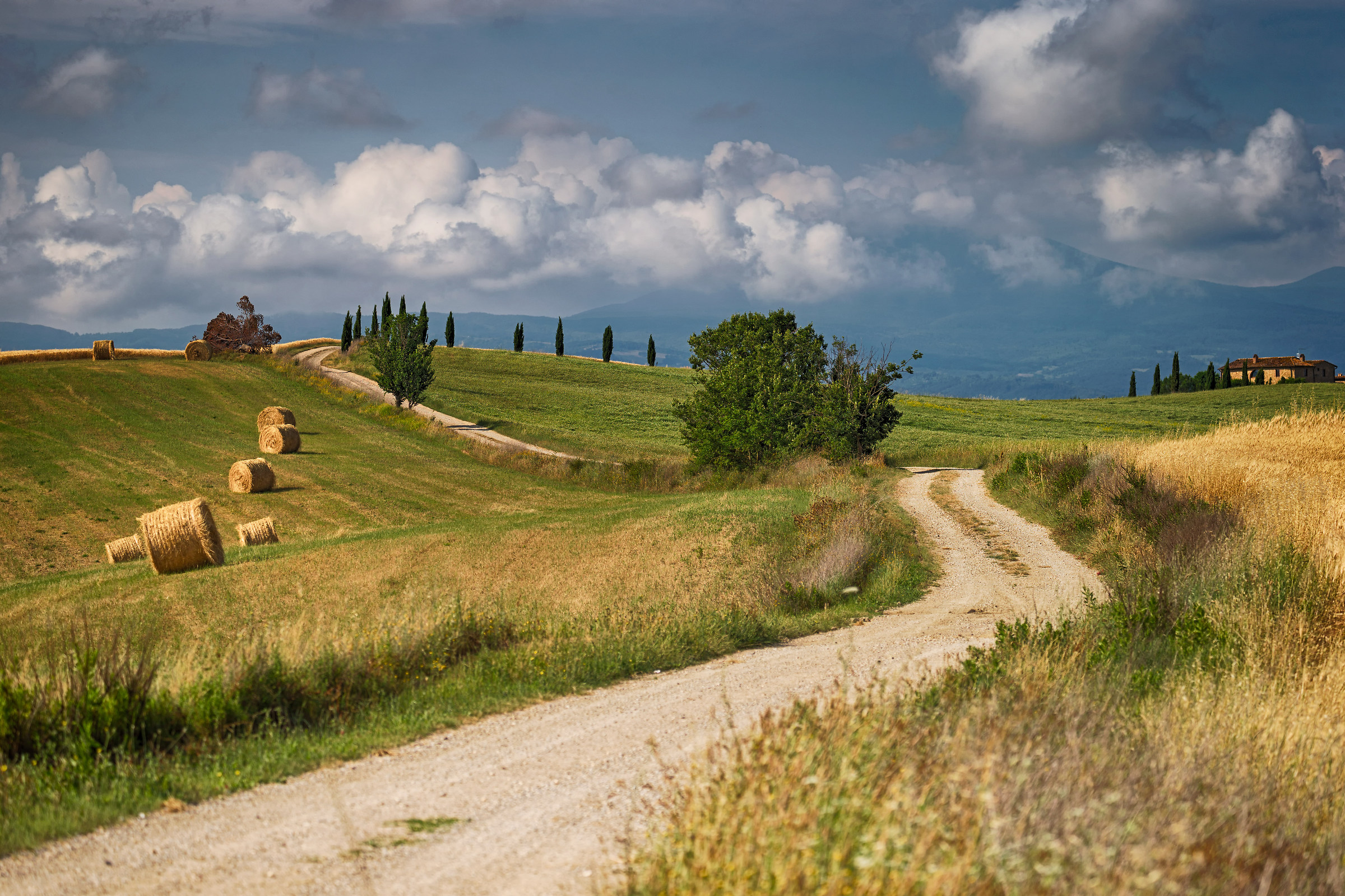 Dalle parti di Pienza 4