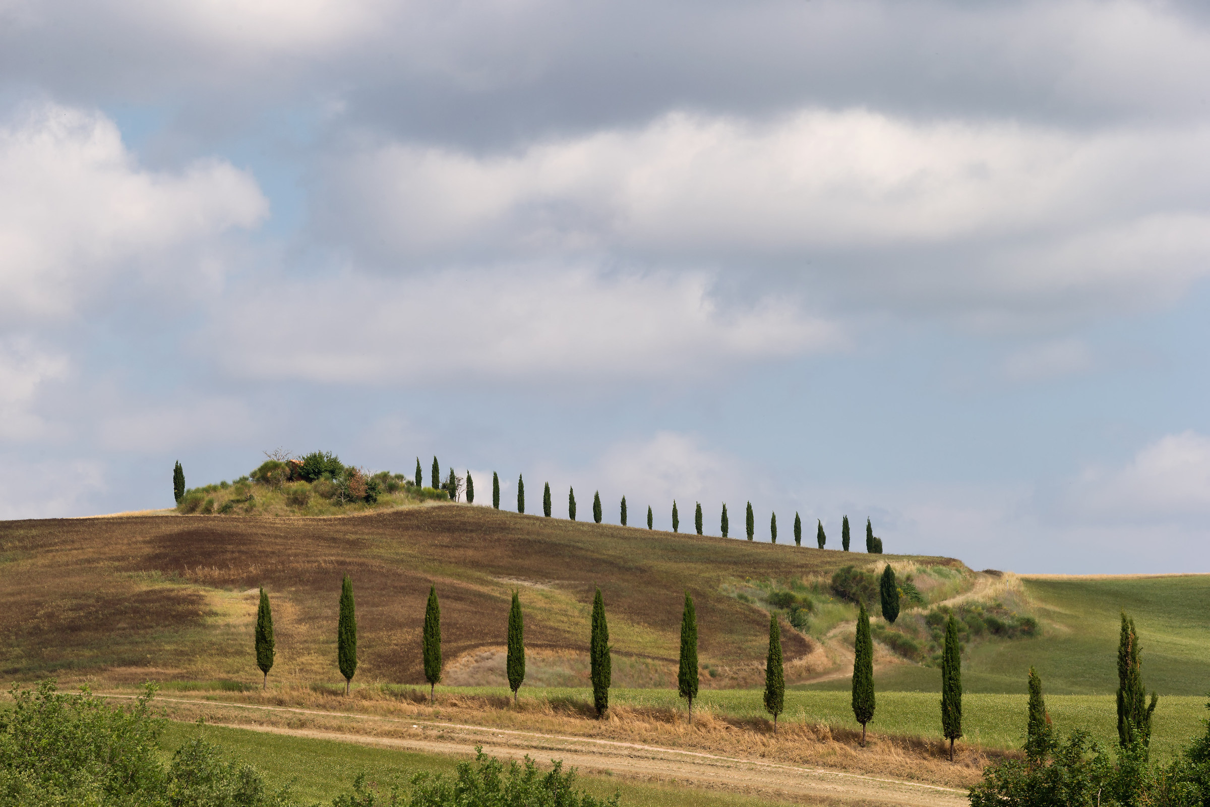Dalle parti di Pienza 7