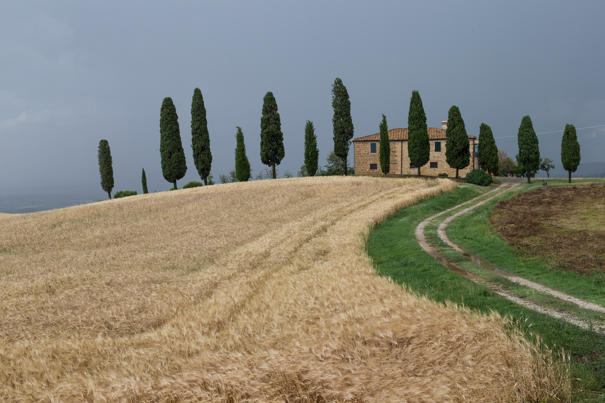 Dalle parti di Pienza 8