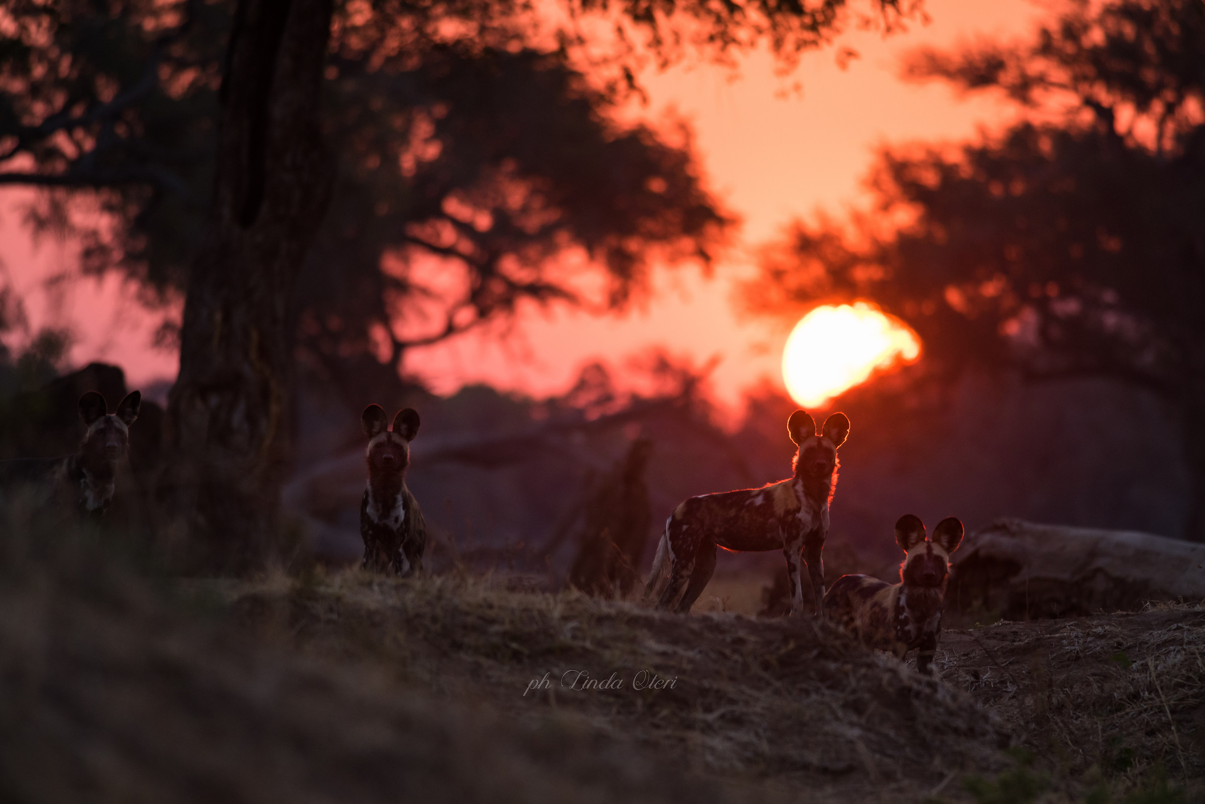 Il tramonto più bello
