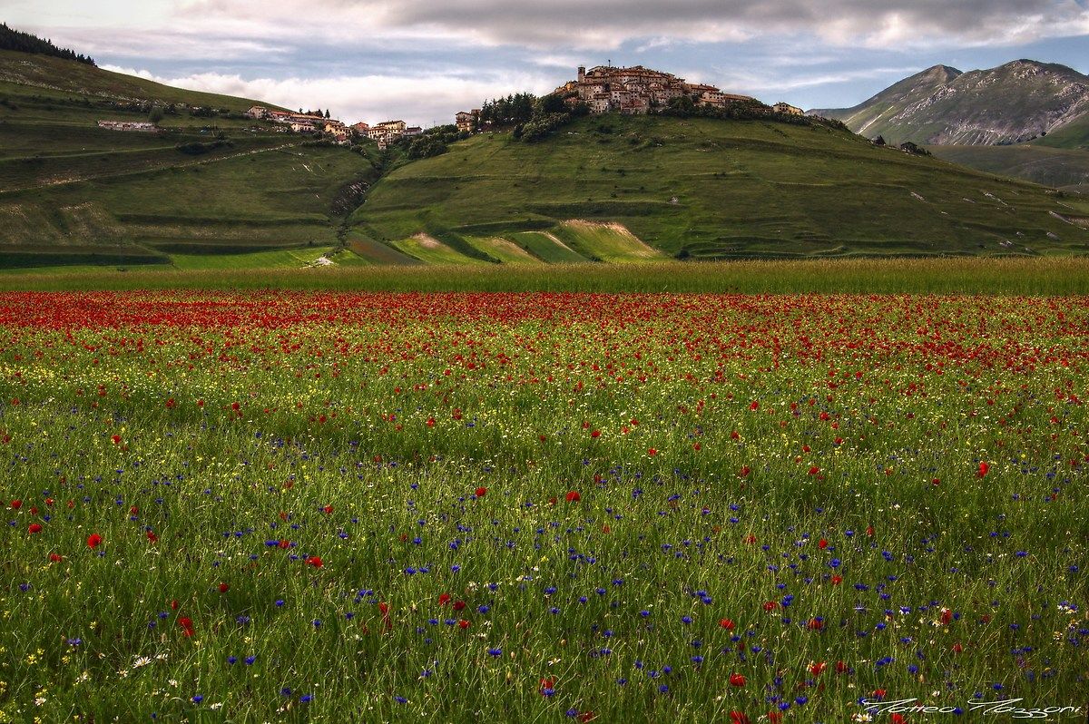 Castelluccio Di Norcia