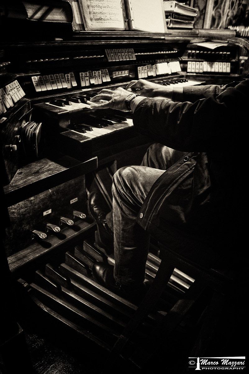 L'Organista