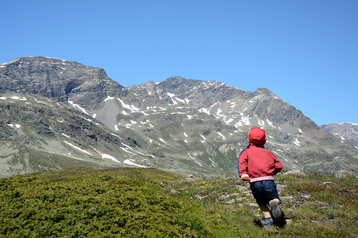 Sempre verso l'alto! Passo del Bernina