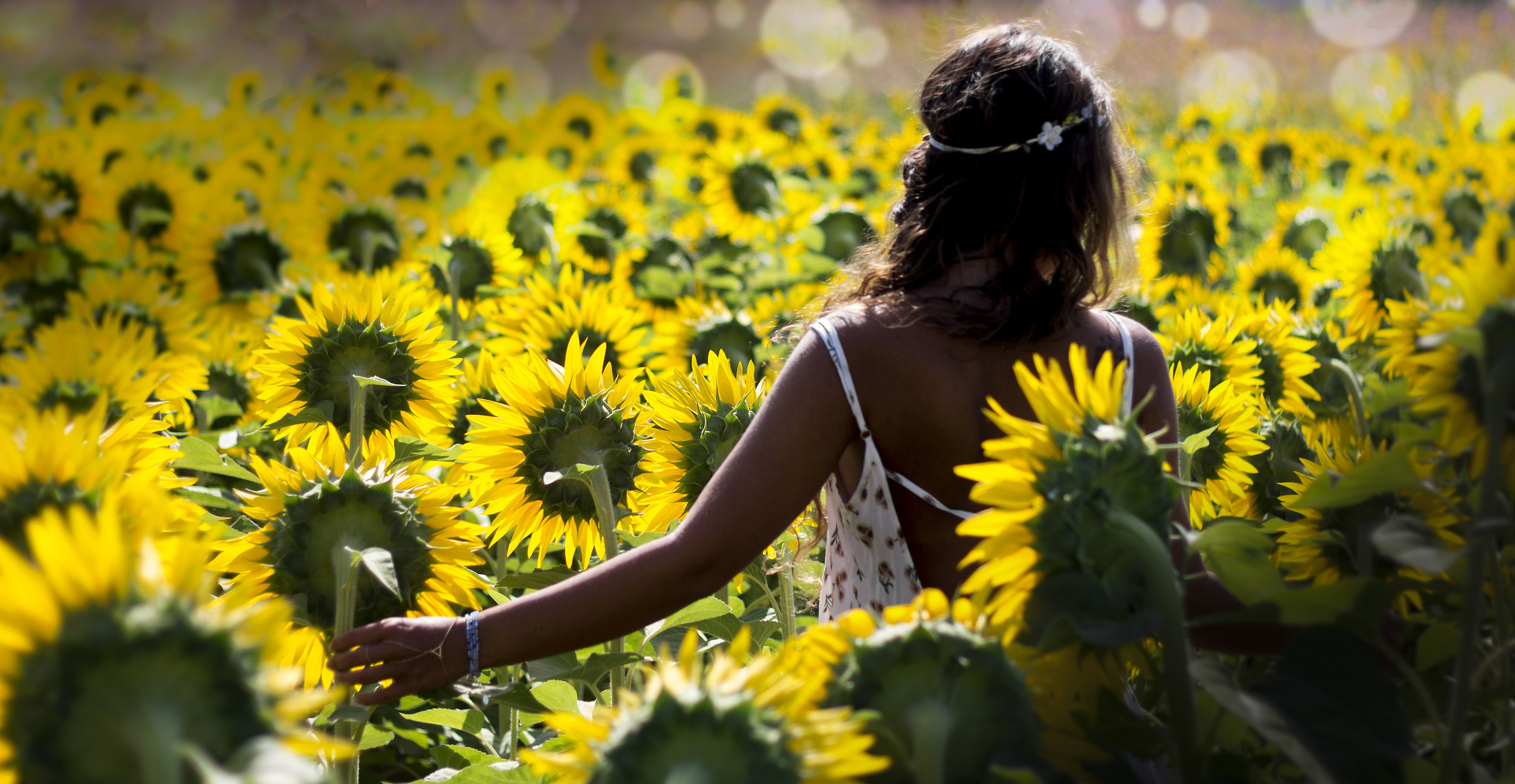 Turn your face to the sun