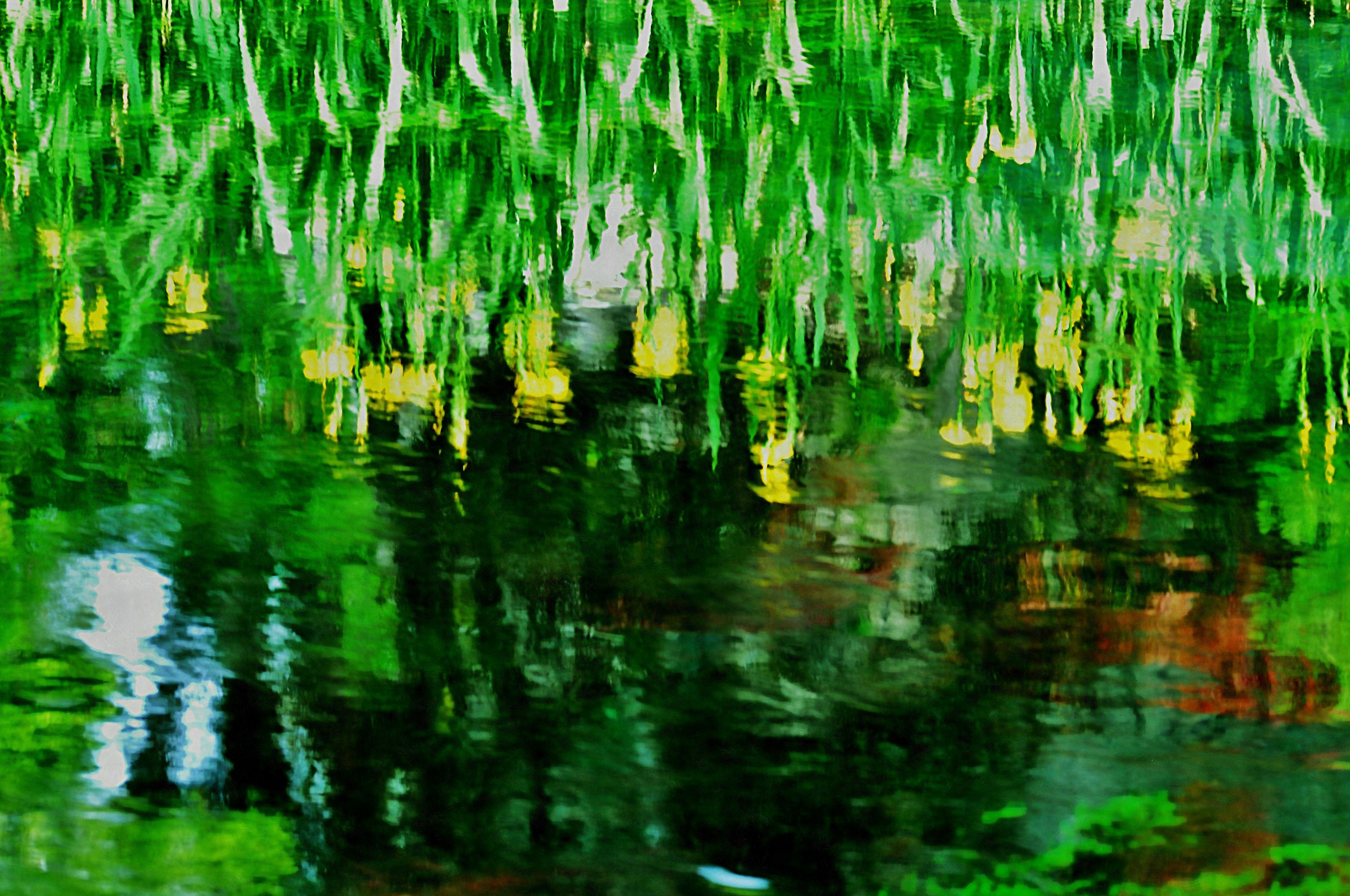 reflections in water