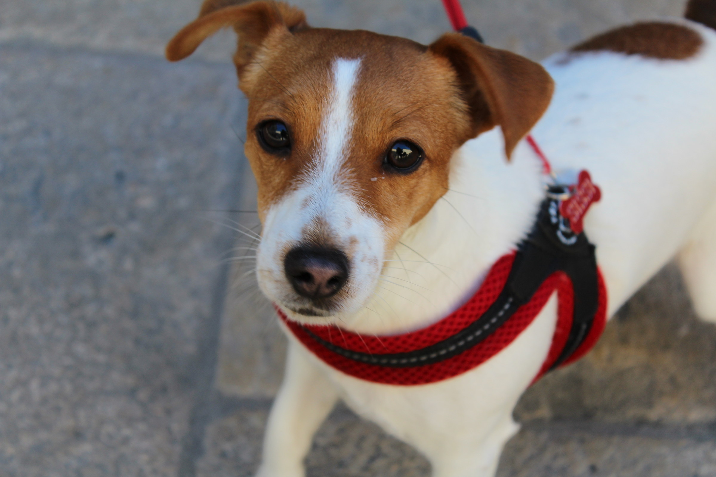 me eyes ... please |||||||