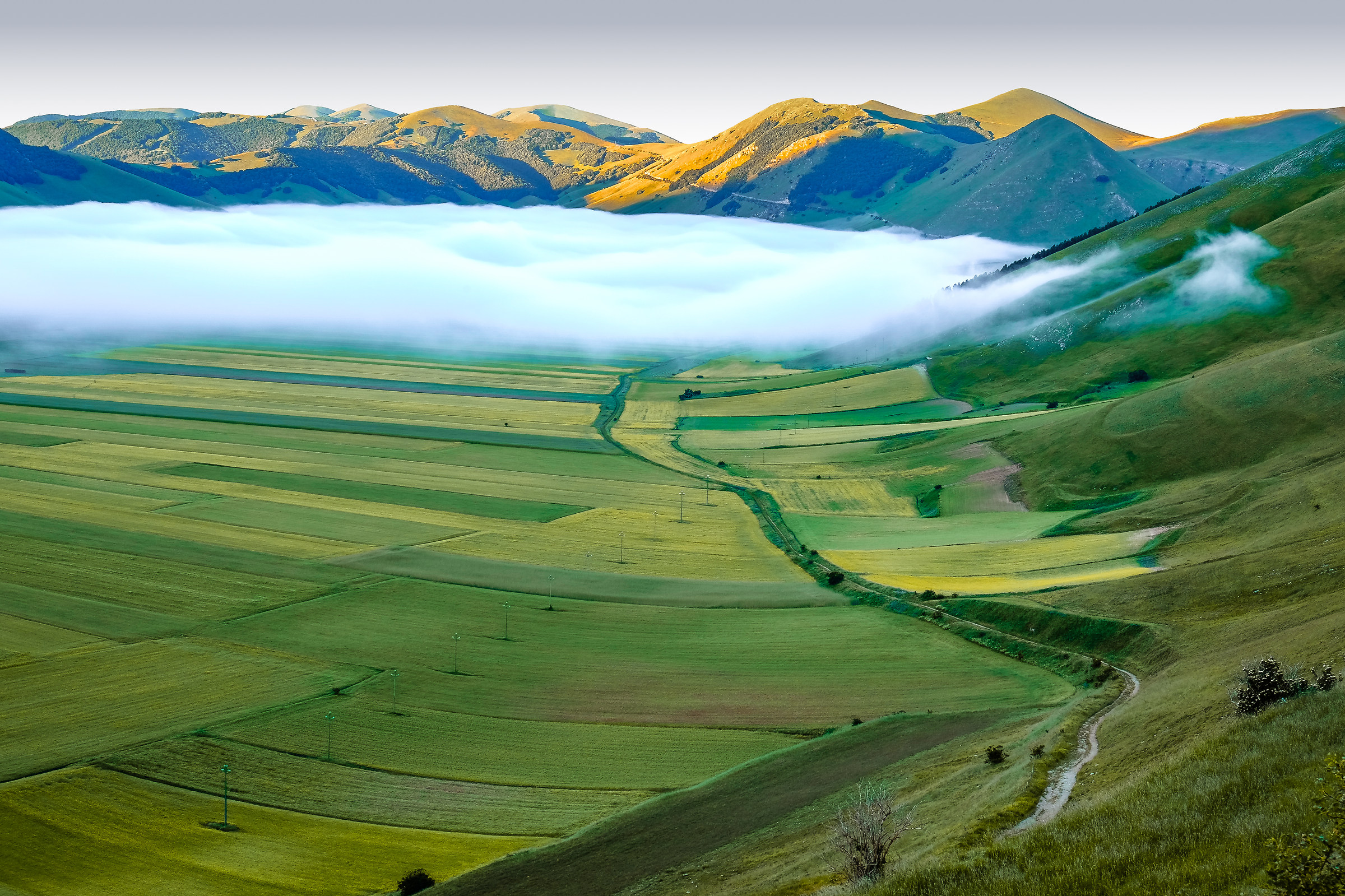 Nebbia sulla piana di Castelluccio