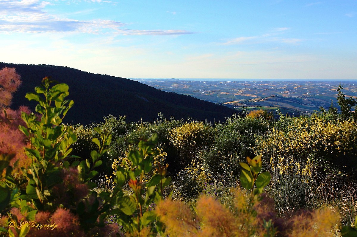 Solstizio d' Estate 2015