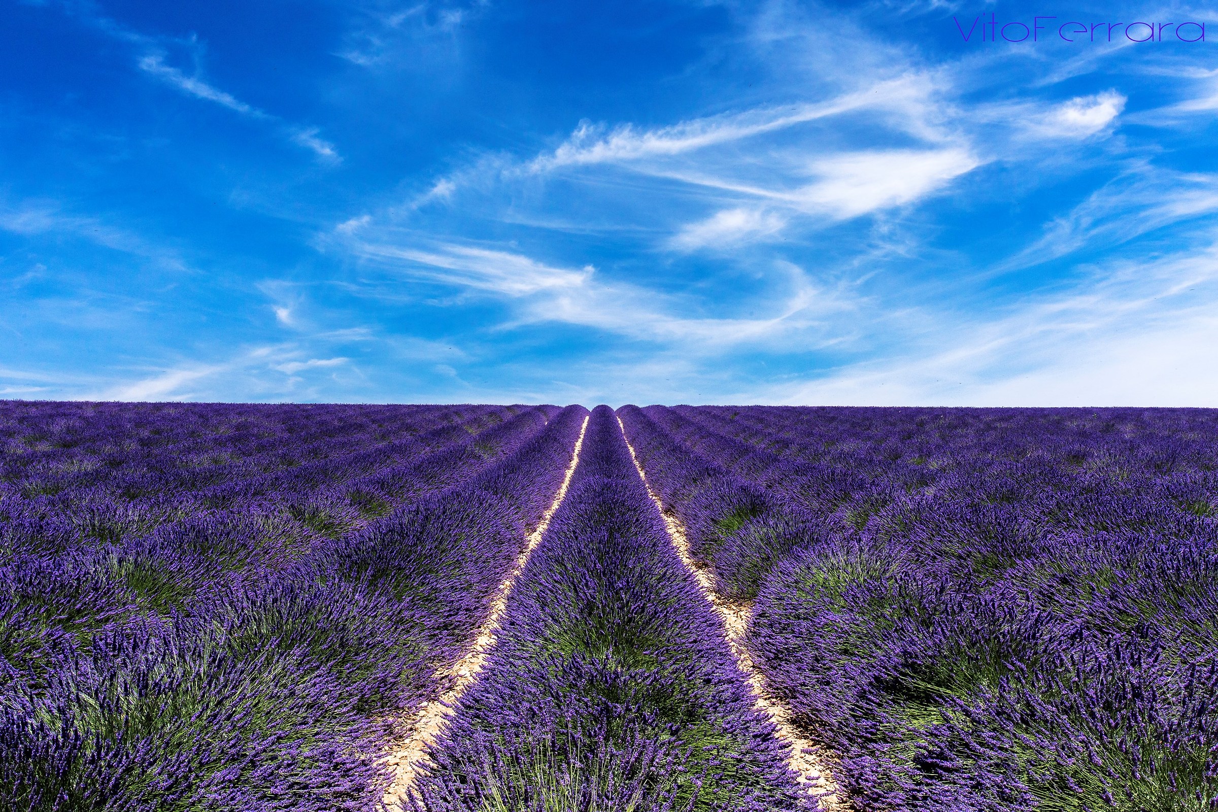 Lavanda e cielo