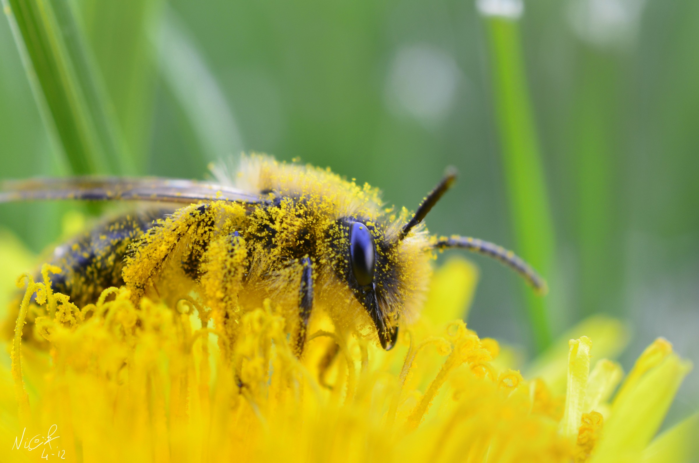 Vespa di passaggio...