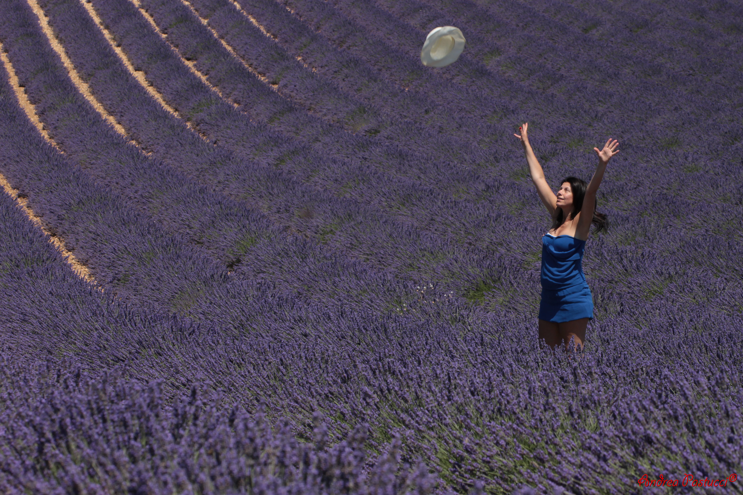 libertà tinta di viola