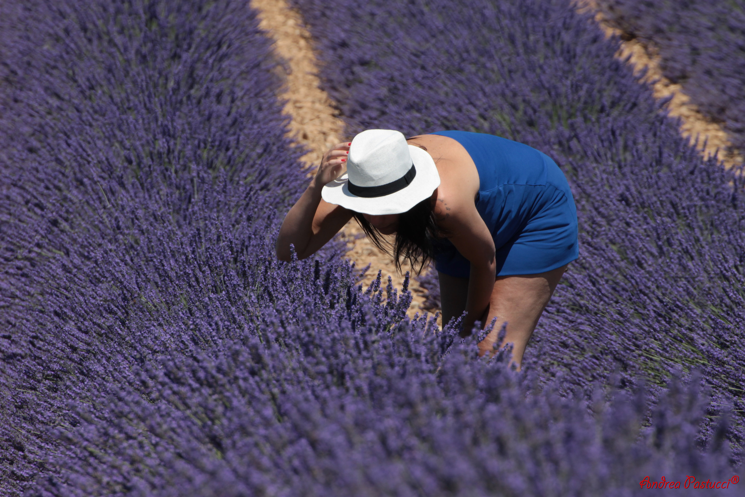 profumi d'altri tempi