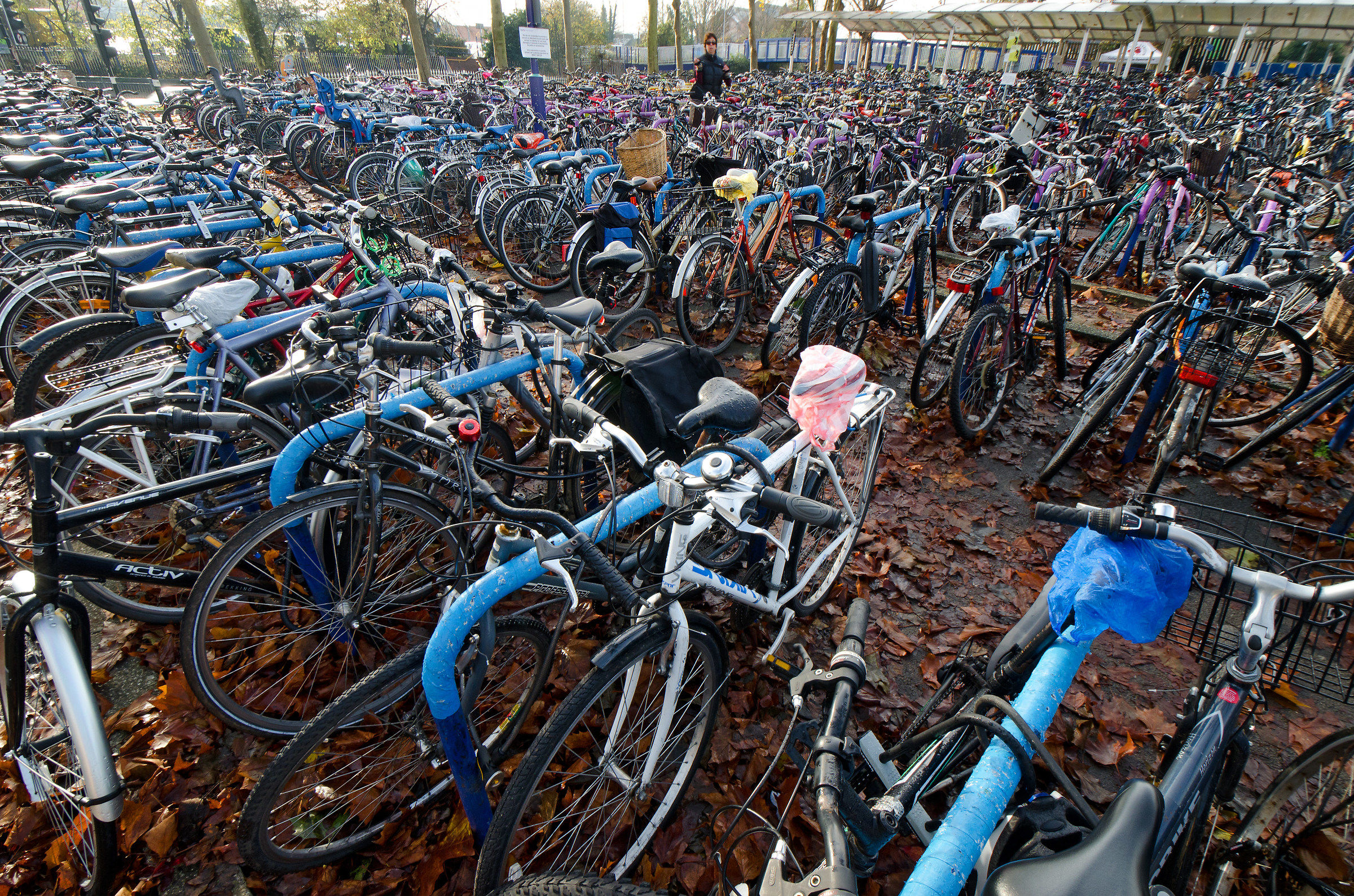 Oxford's Bicycles!