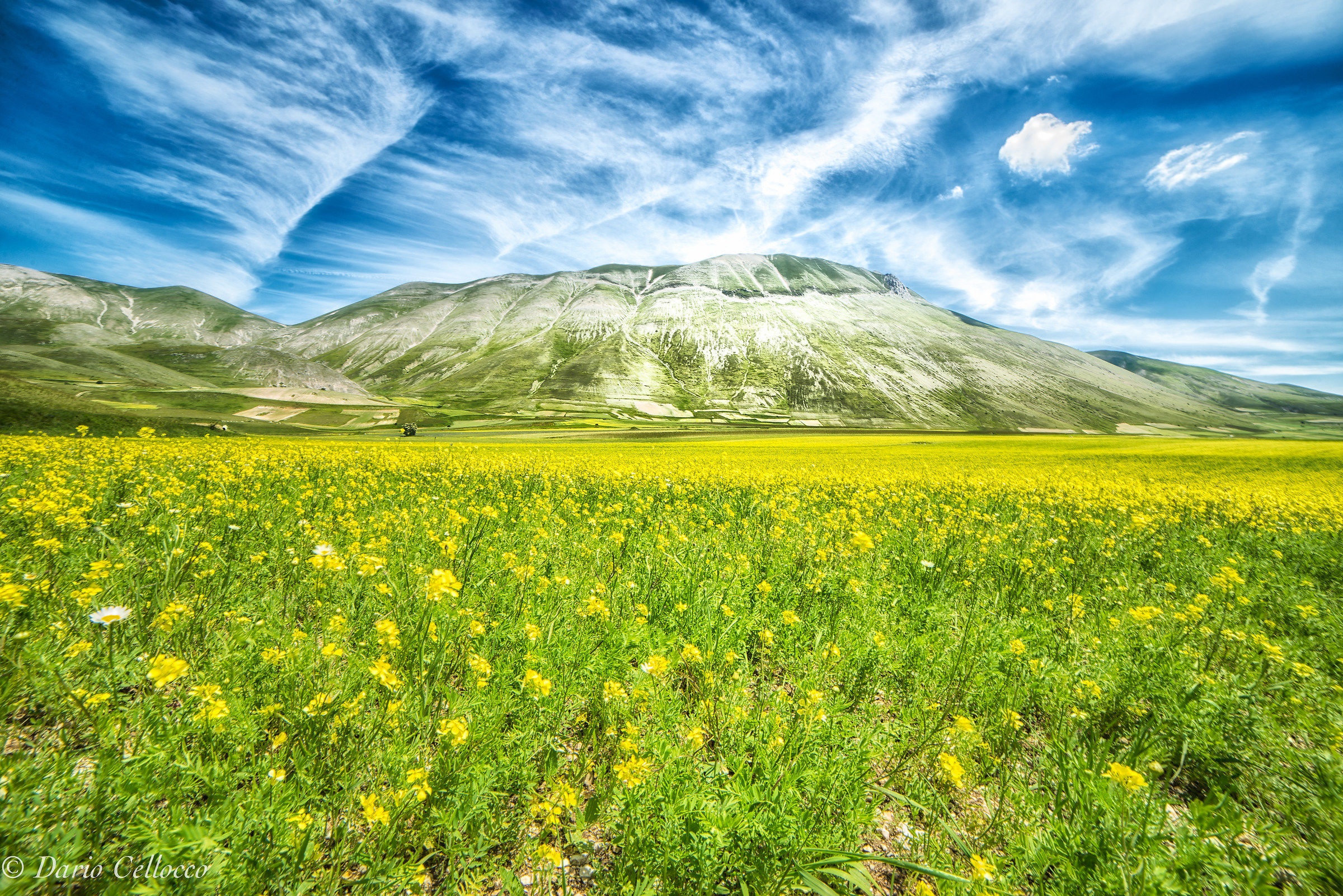 castelluccio