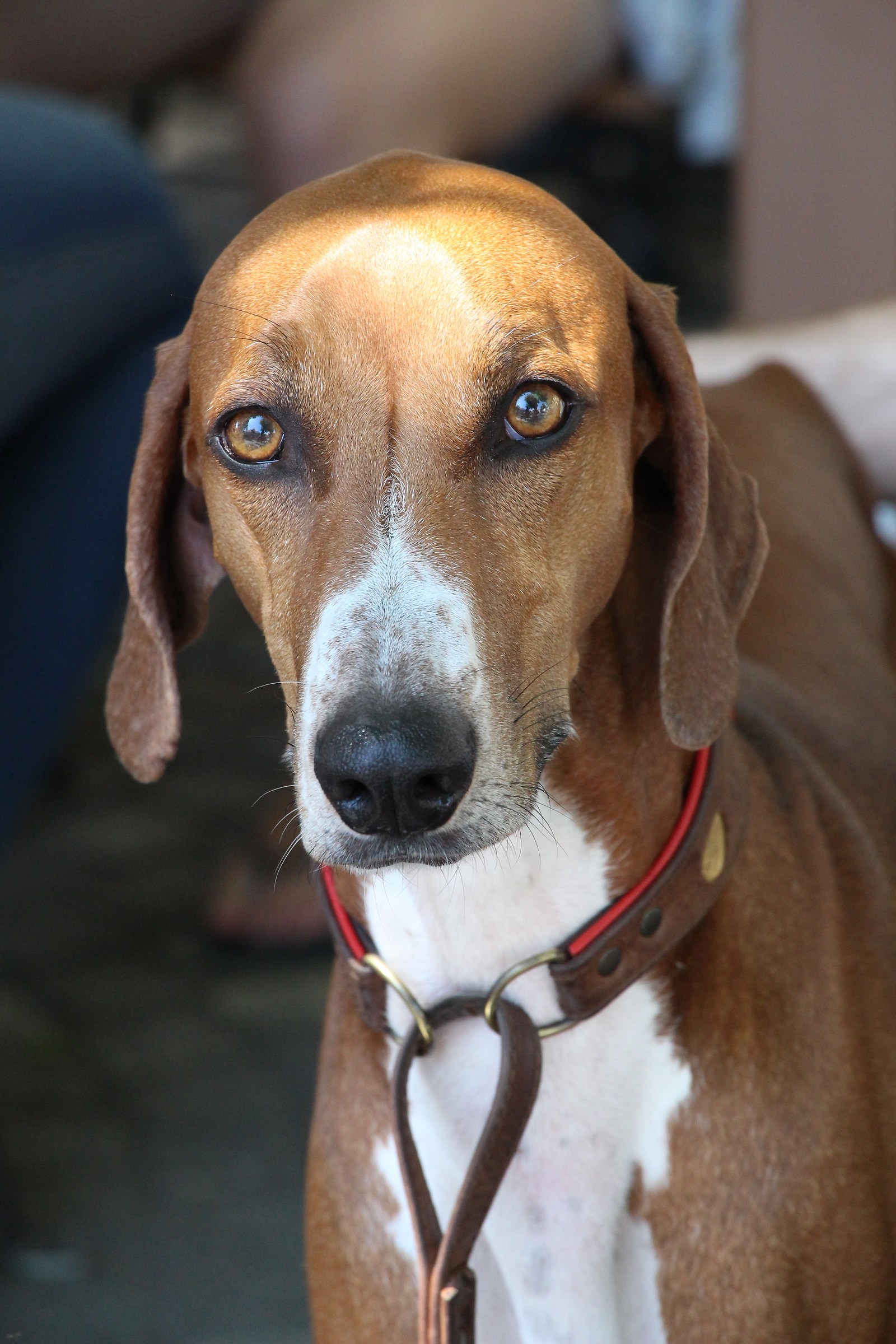 Uno sguardo così...