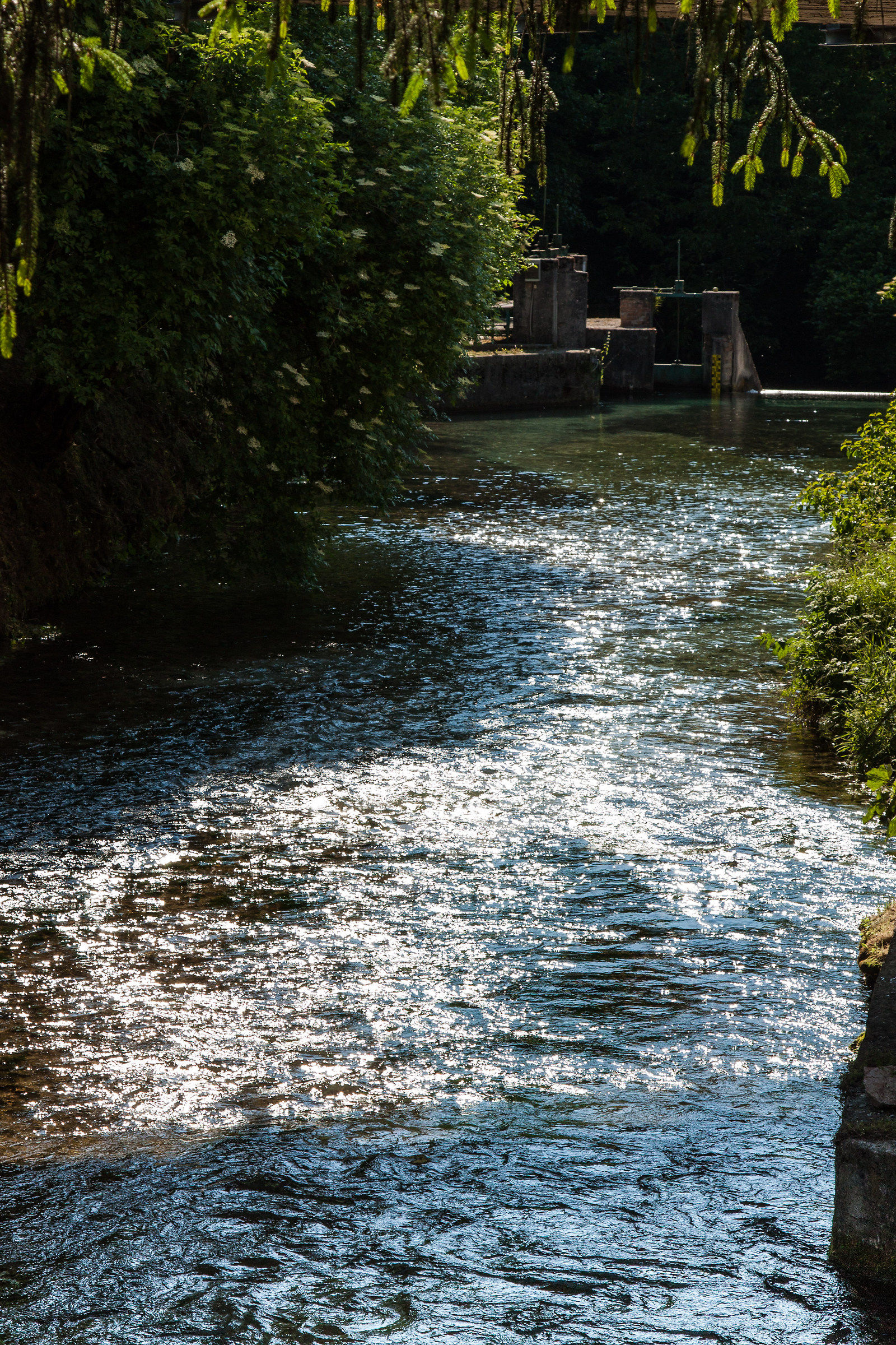 La forza del torrente