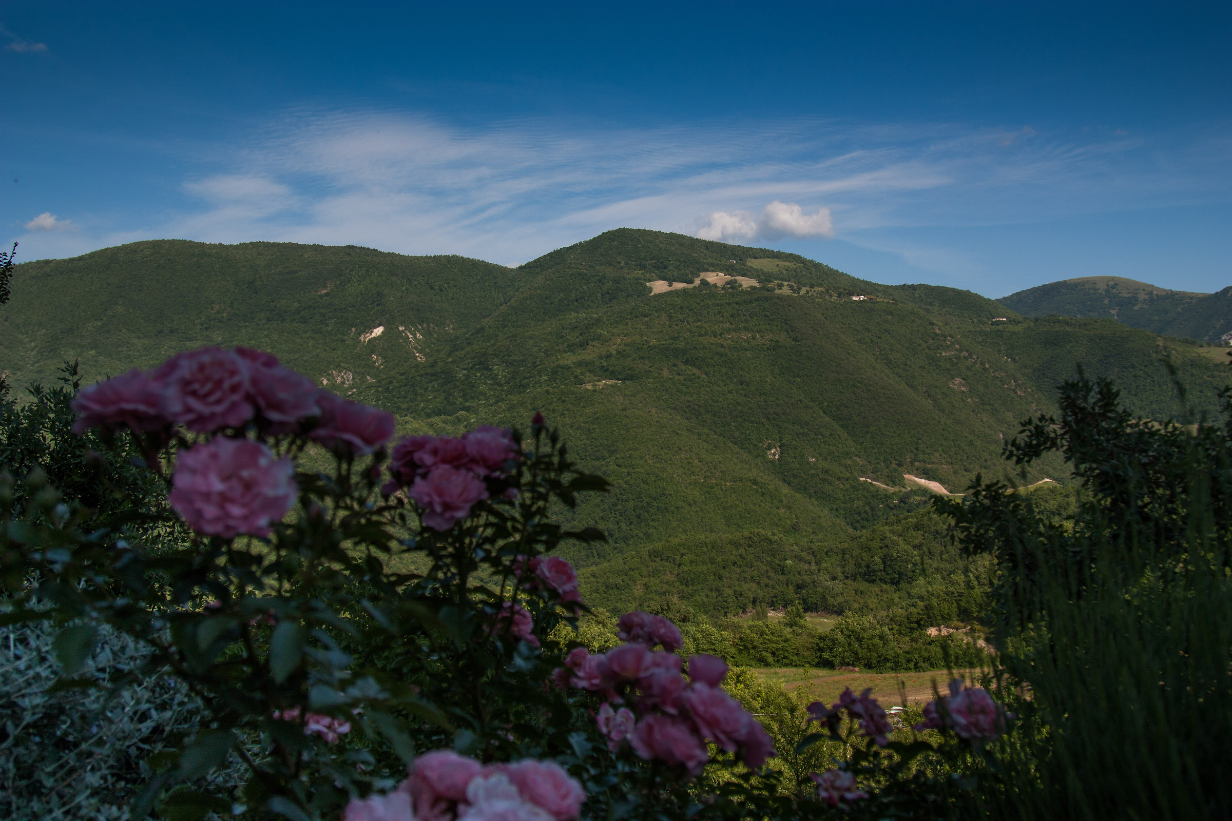Dal castello di Postignano