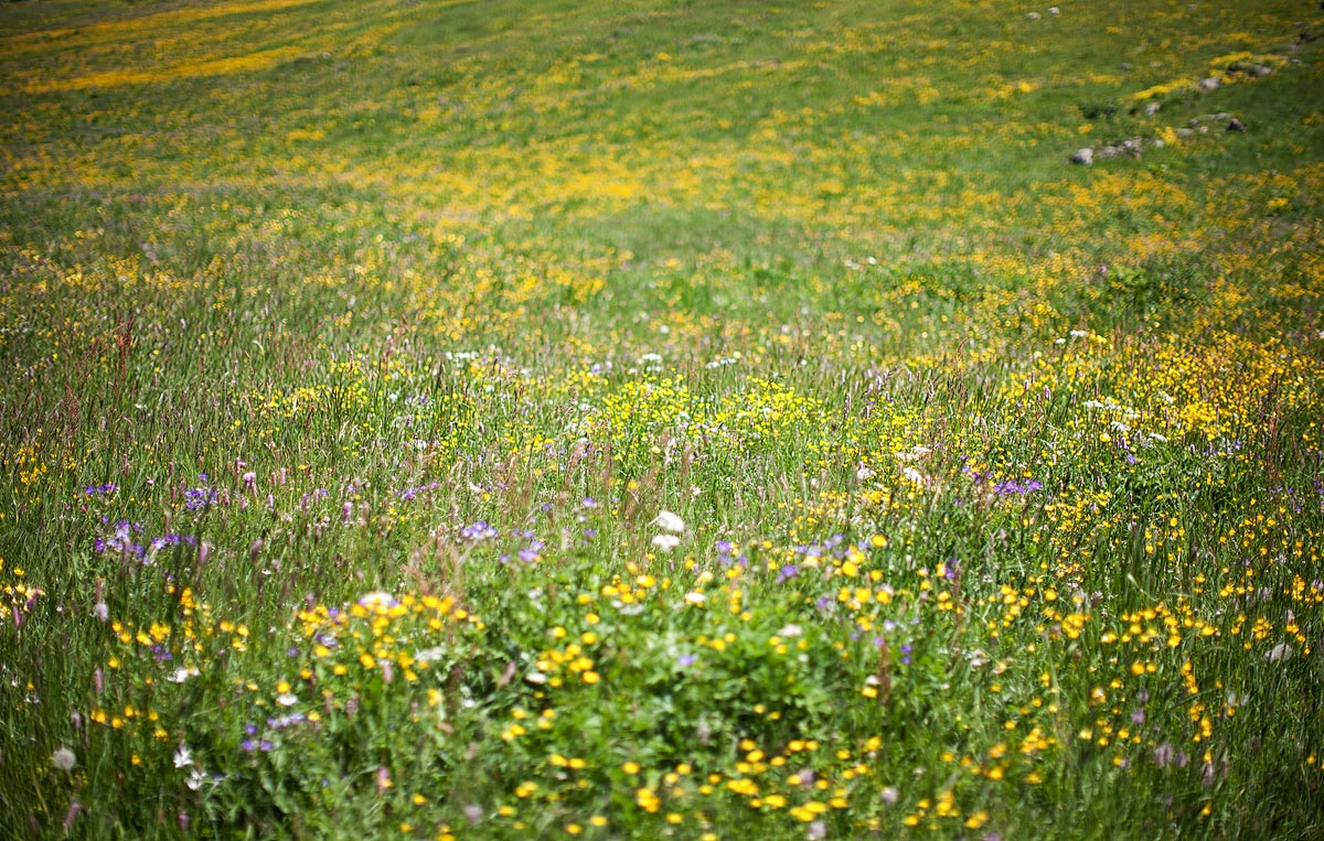 Impressionism in Val Thures