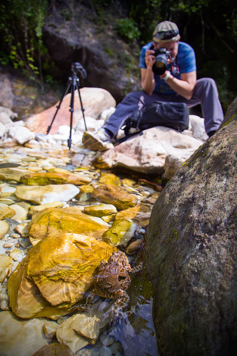 Occhio alle spalle (dietro le quinte)