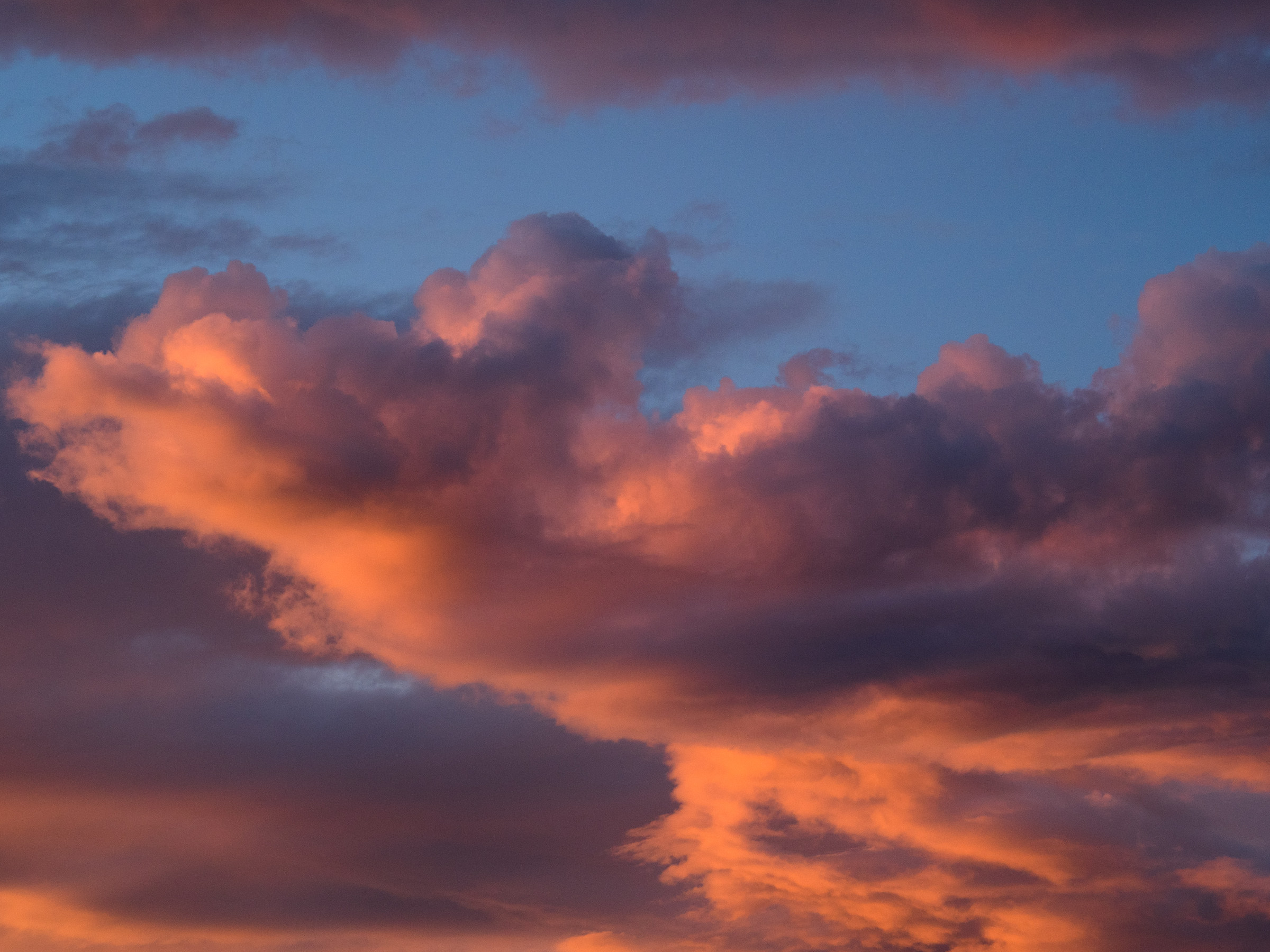 When the sun paints the clouds