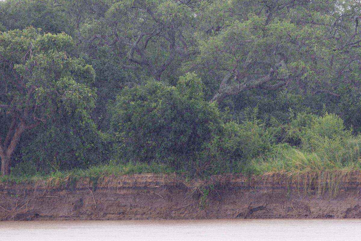 Luangwa sotto la pioggia