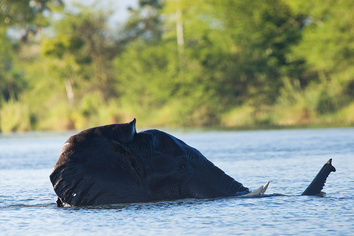 Crossing the Shire river