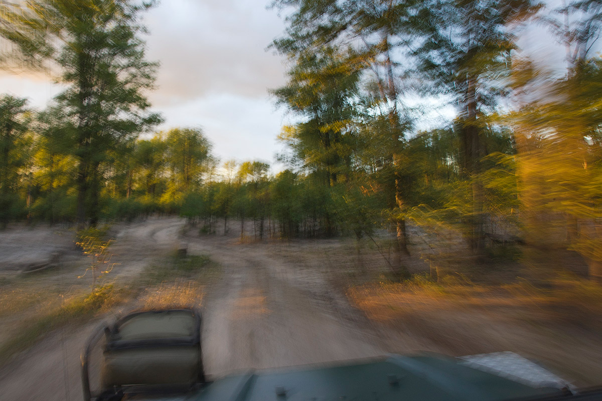 M ..... a photo of the jeep.