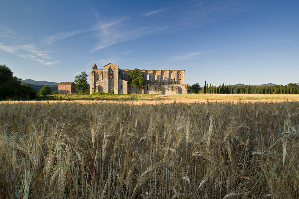 San Galgano ..terra of Tuscany.