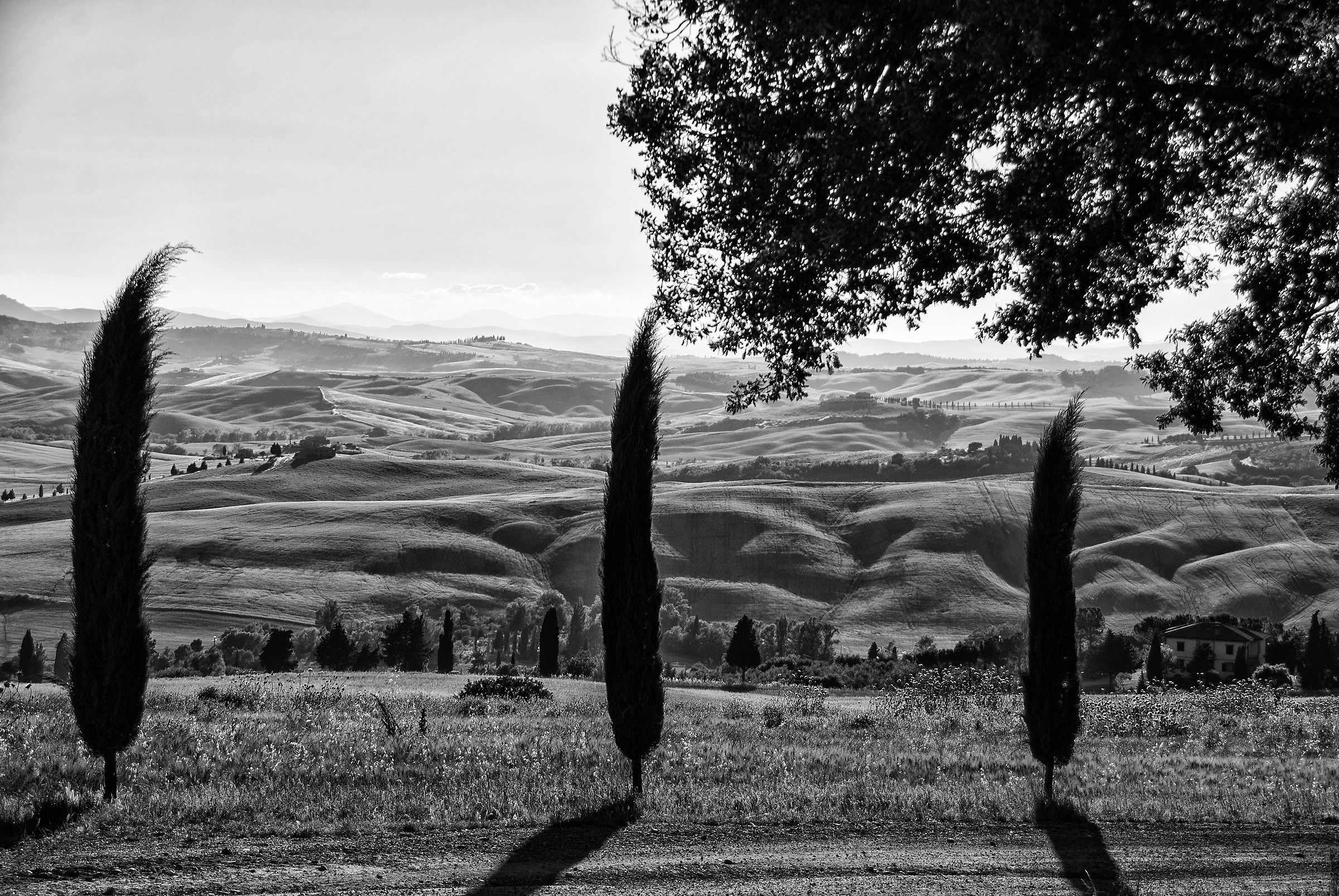 Val D'Orcia