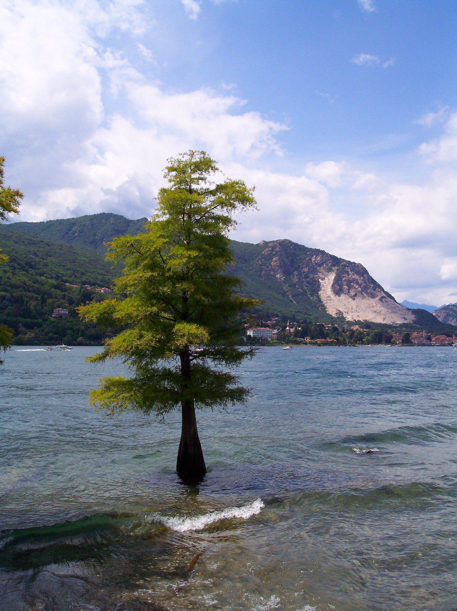 a mollo (lago maggiore)