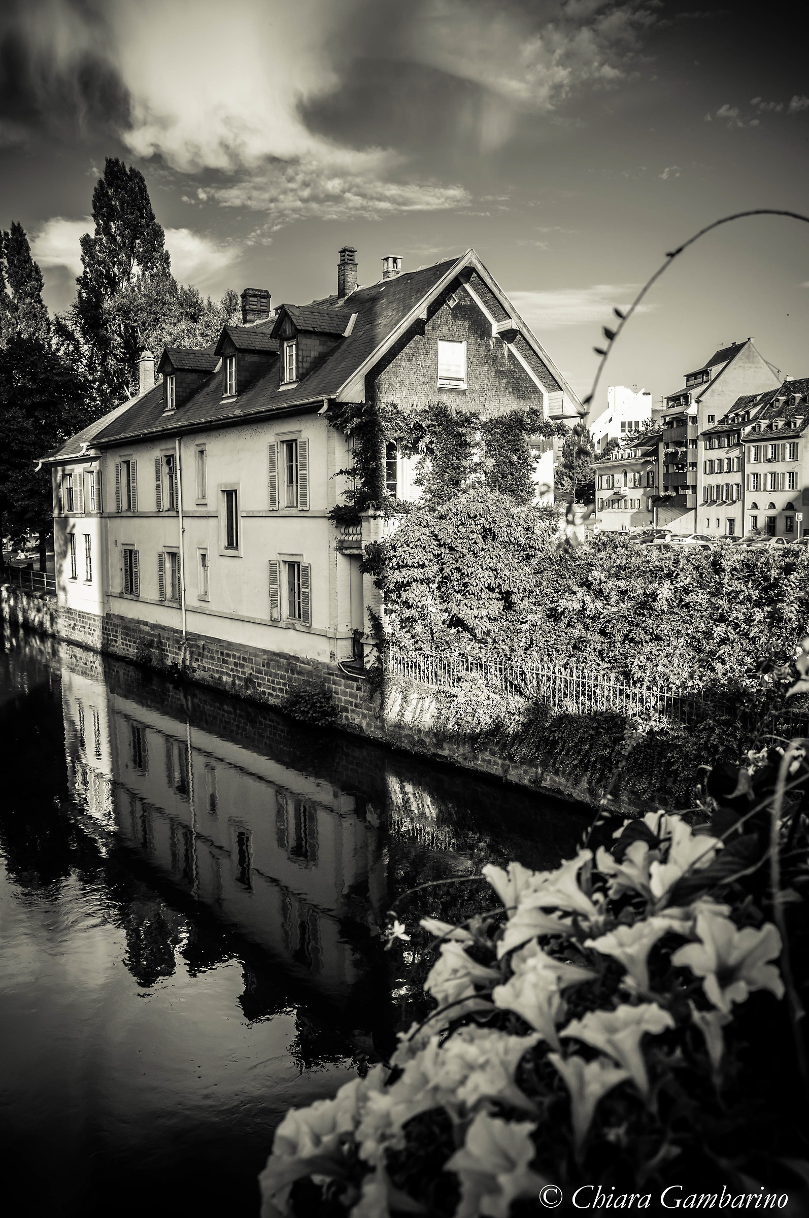The house on the river, Strasbourg