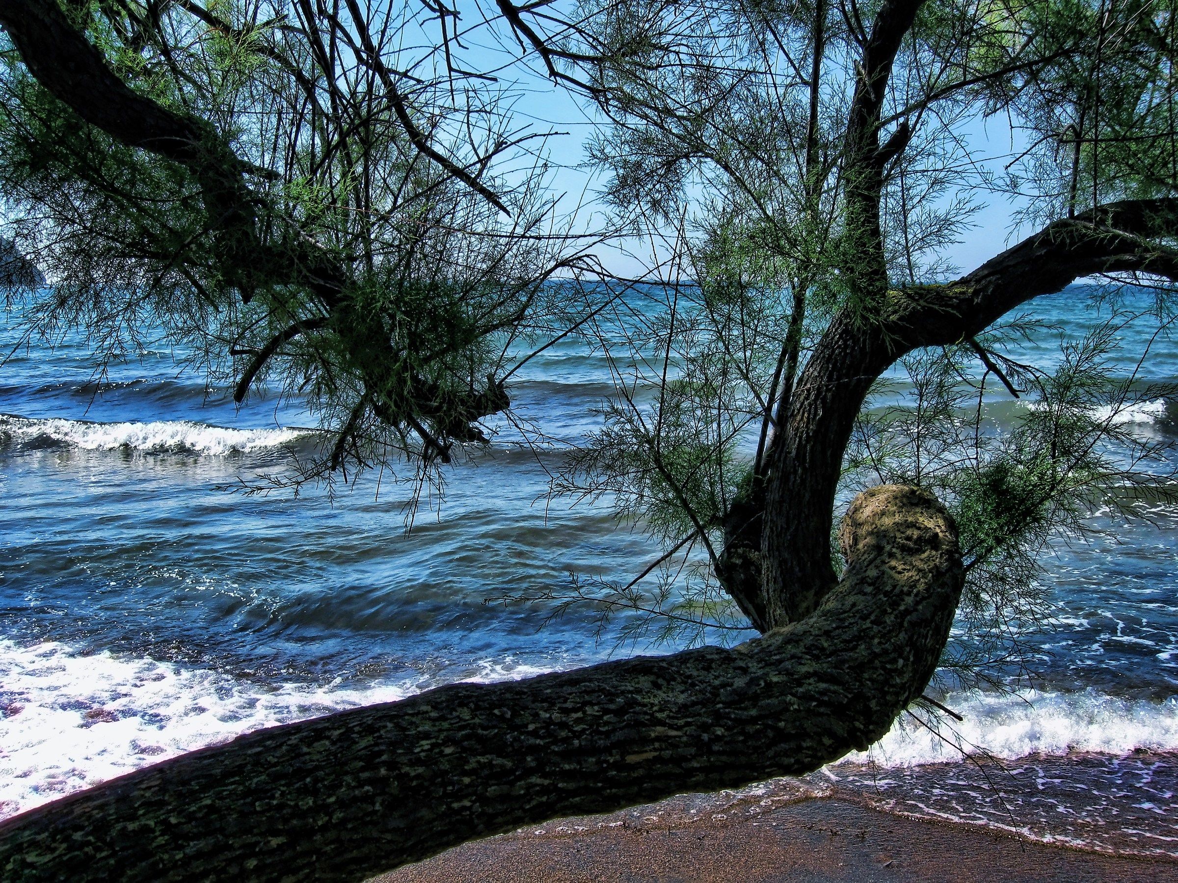 Gulf of barter (Tuscany)