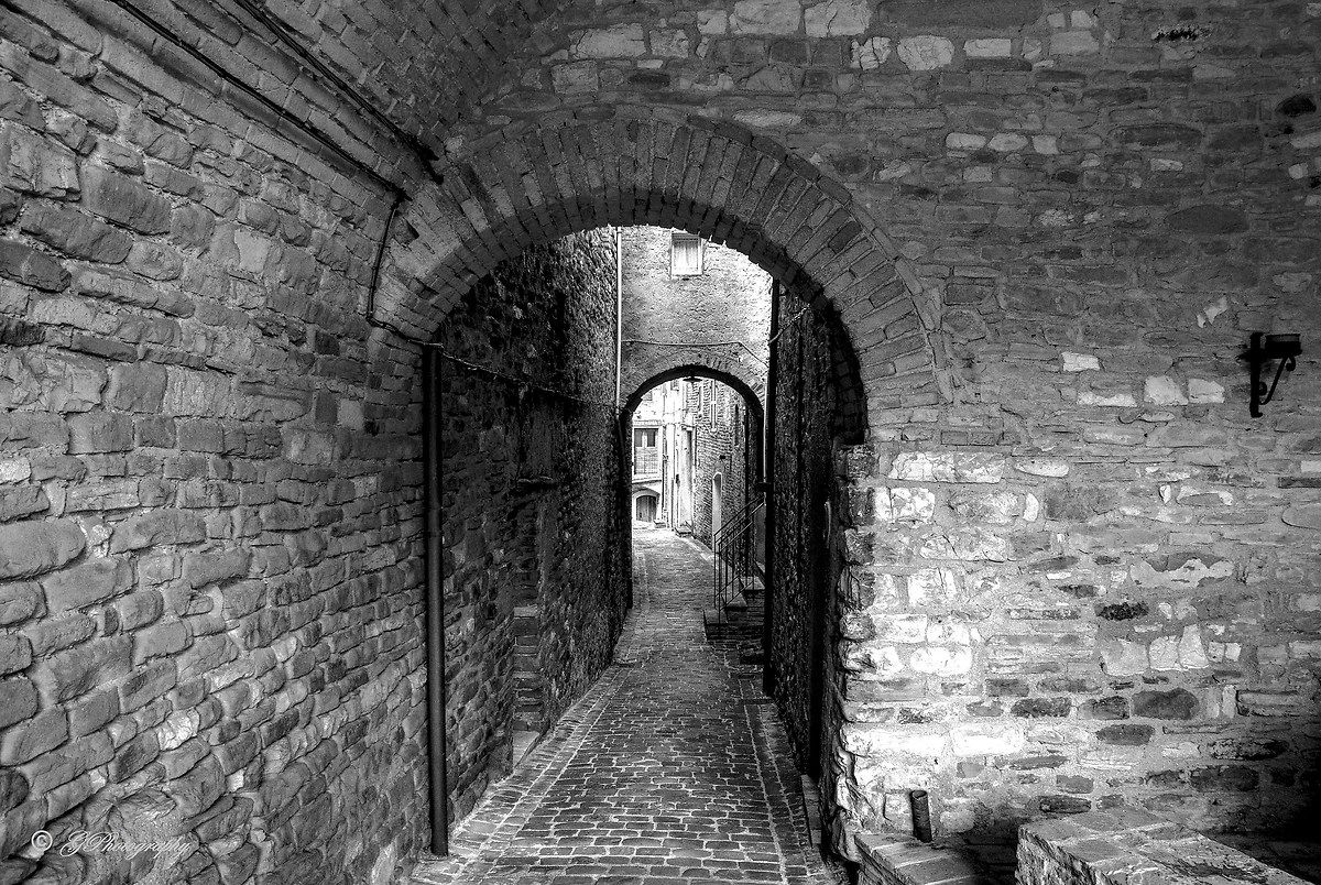 Solo il rumore dei miei passi