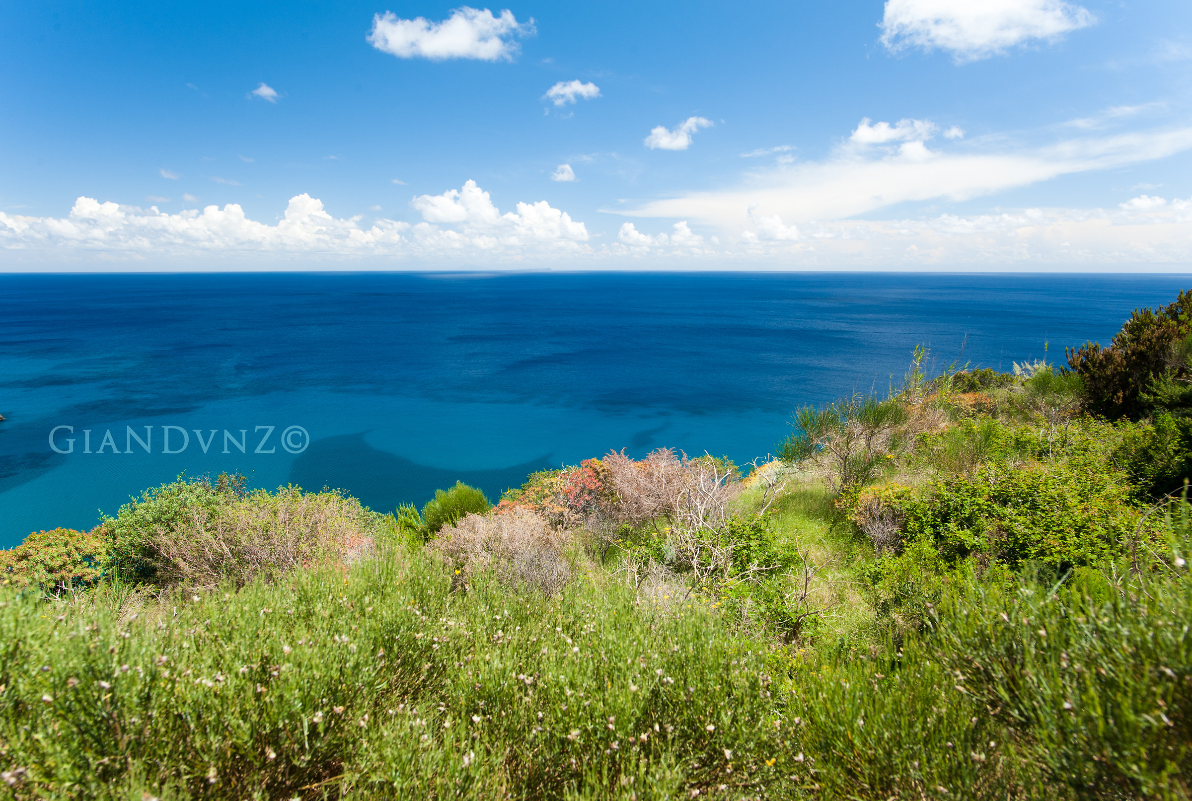 a me basta poco ed ho molto, mi basta il verde e il blu