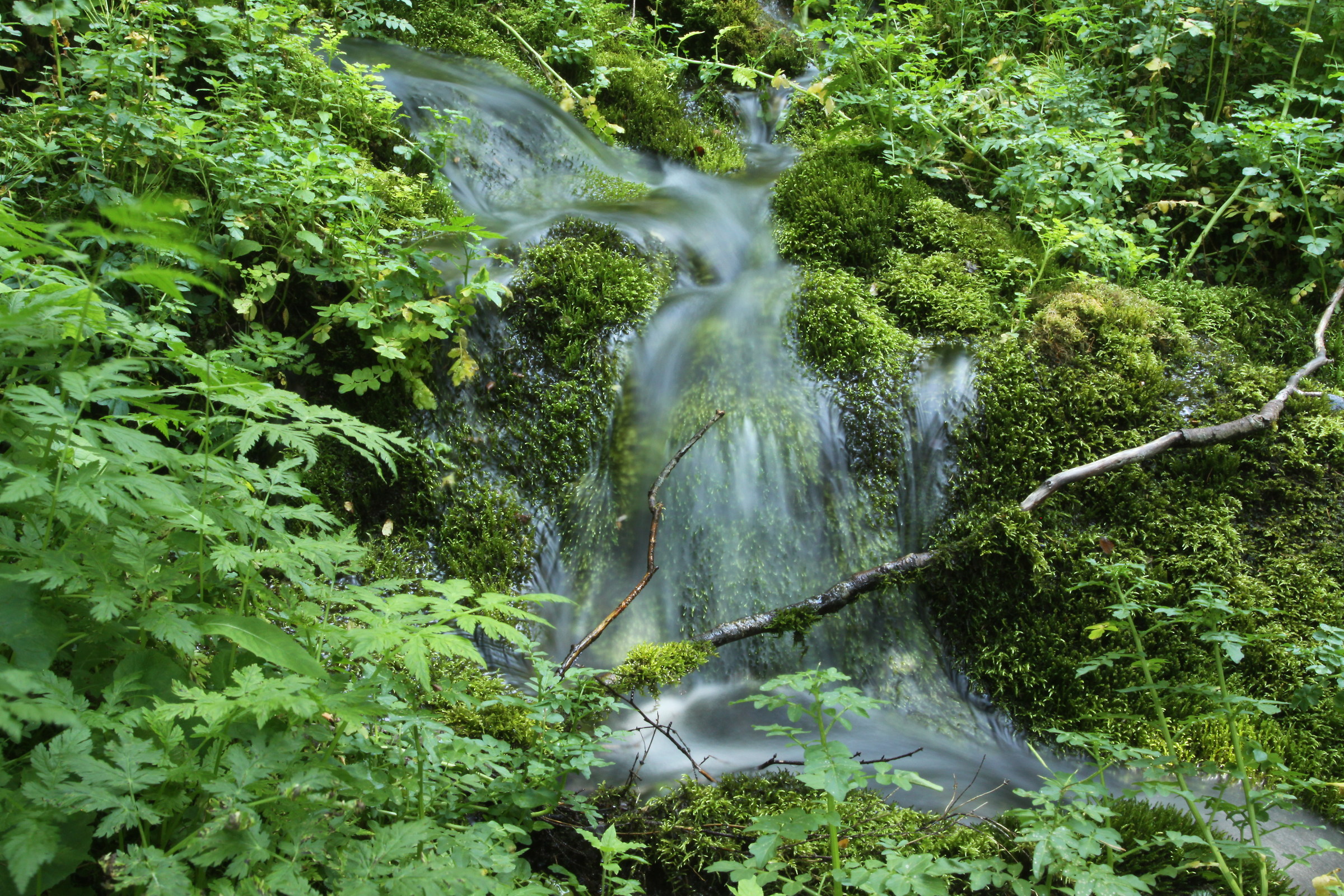 Chiare fresche e dolci acque...