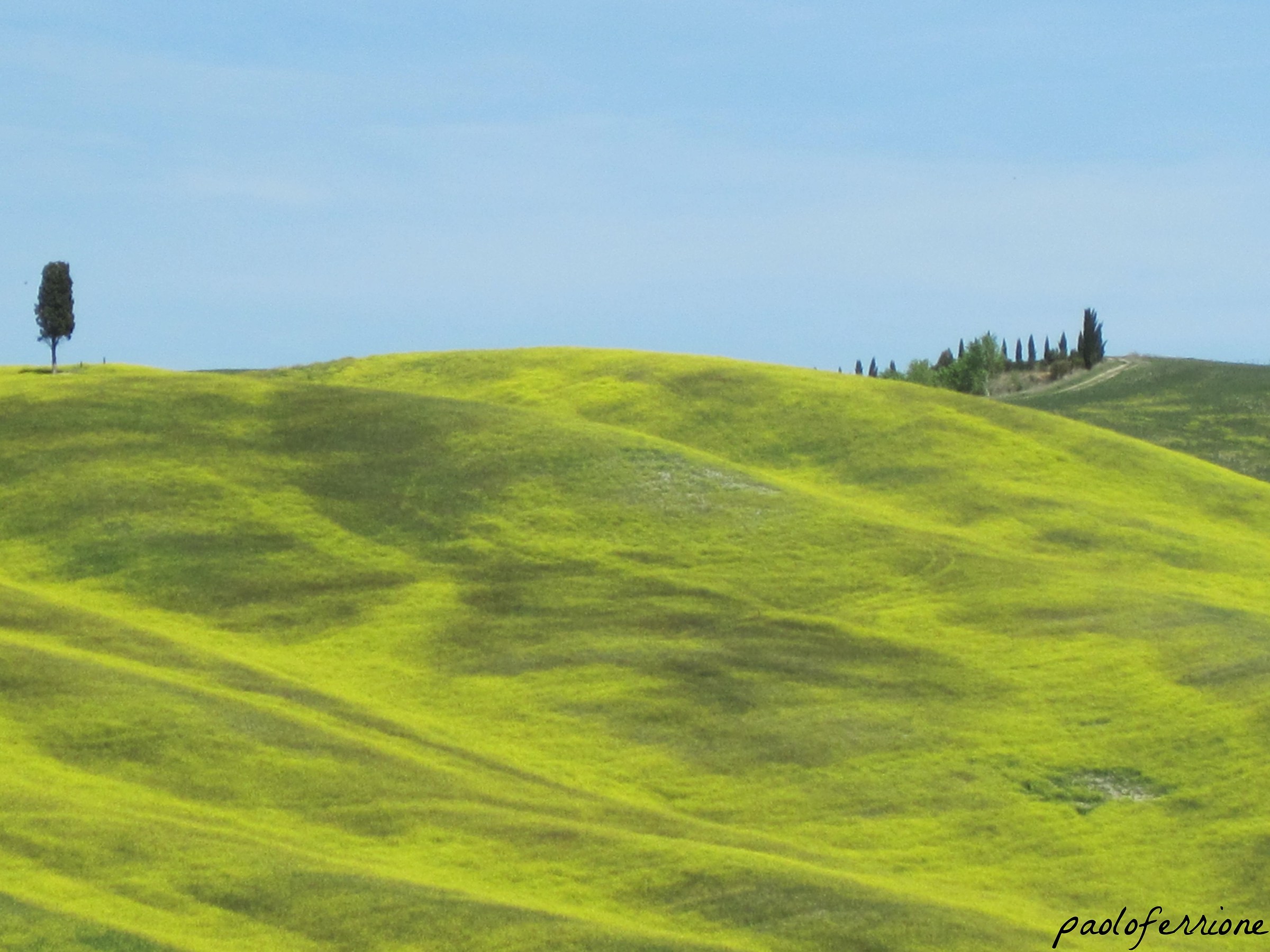verde Toscana
