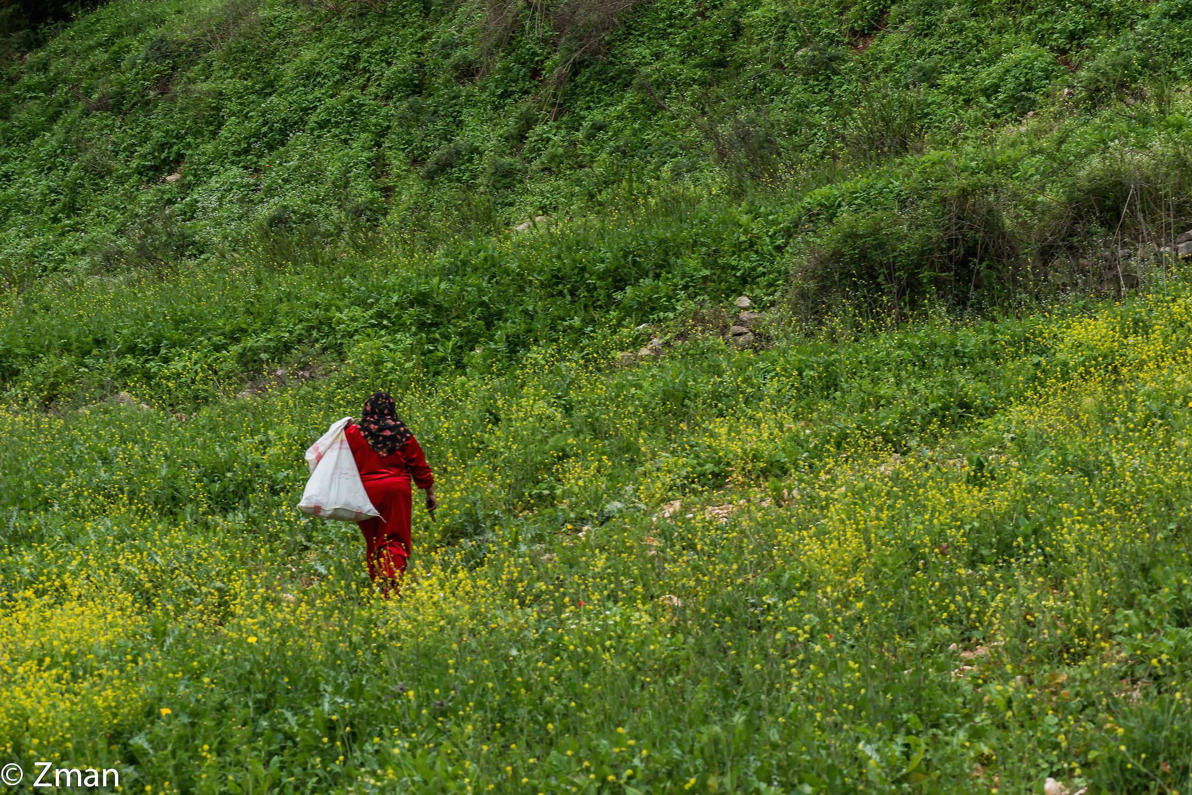 Gypsy Collecting Wild Flowers