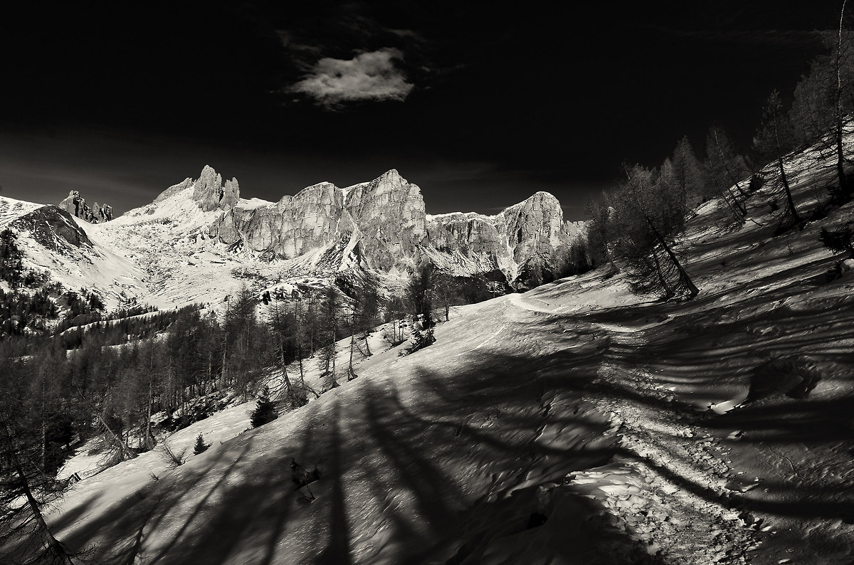 convergences take on shady