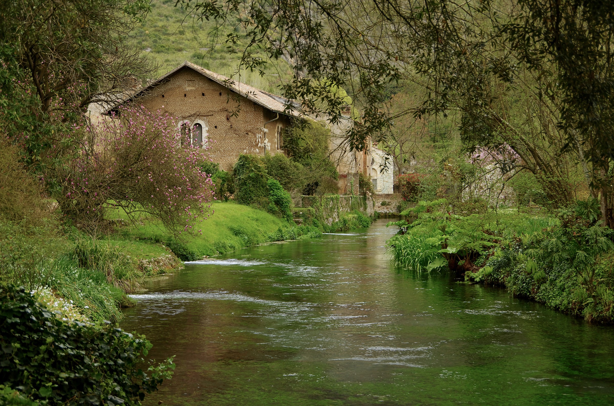 rectified and corrected