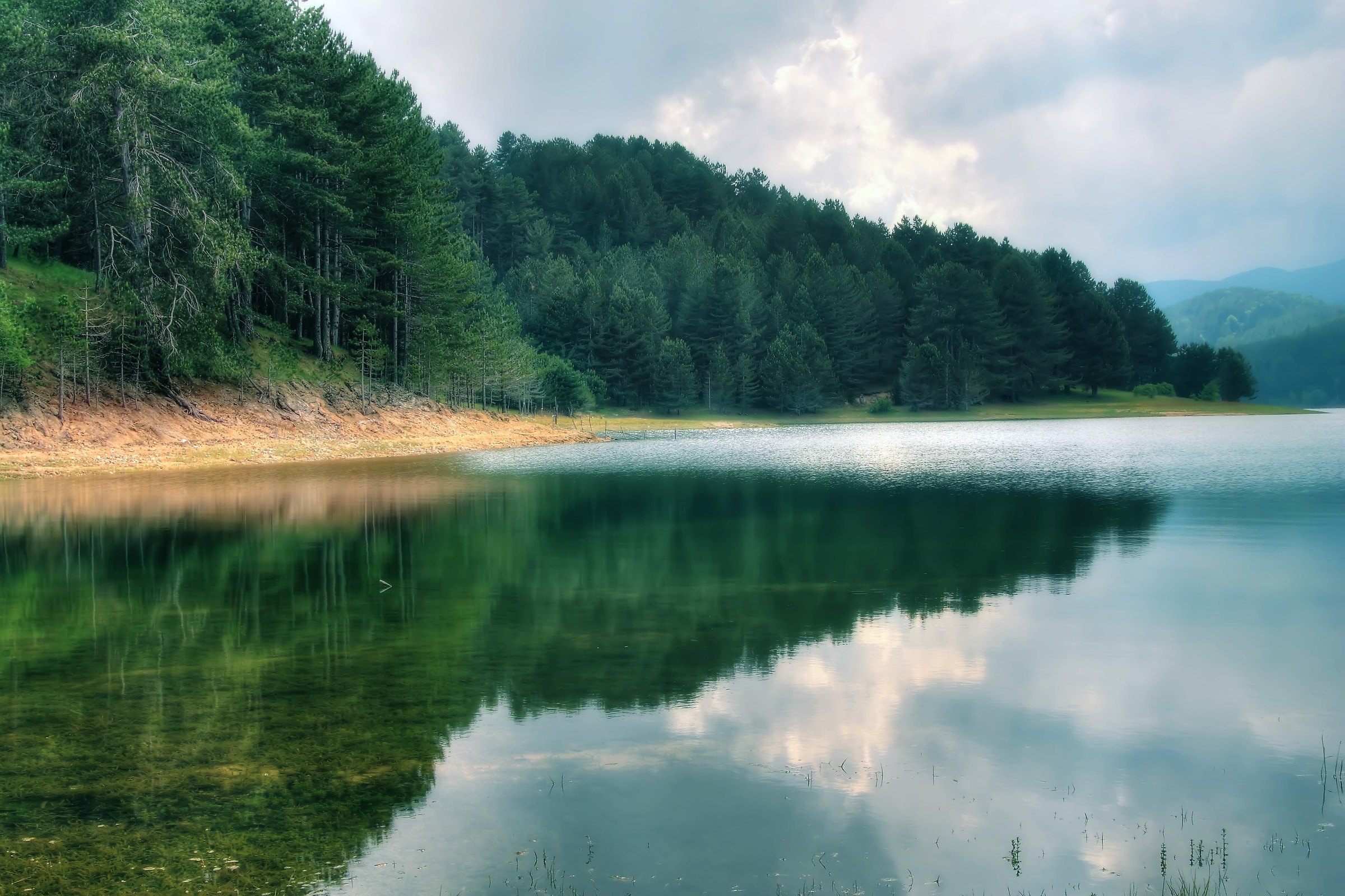 Riflessi vegetali - HDR