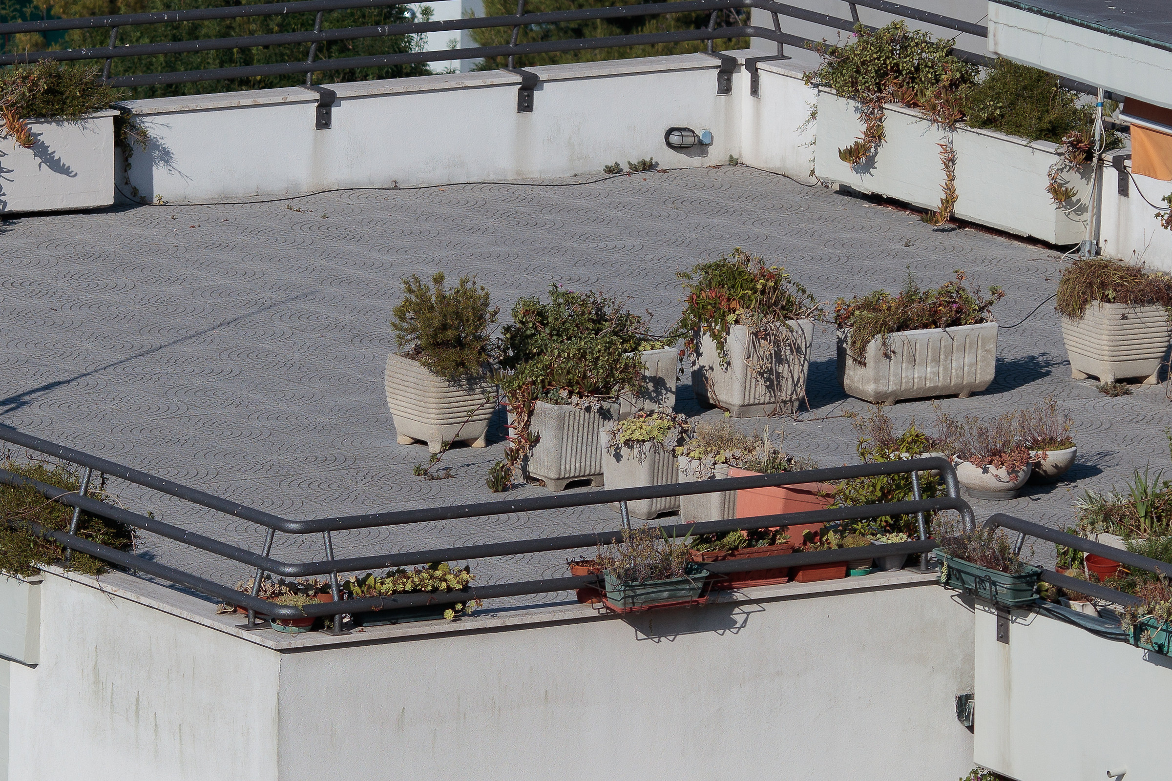 5Dsr+135L@f/5.6, 100%