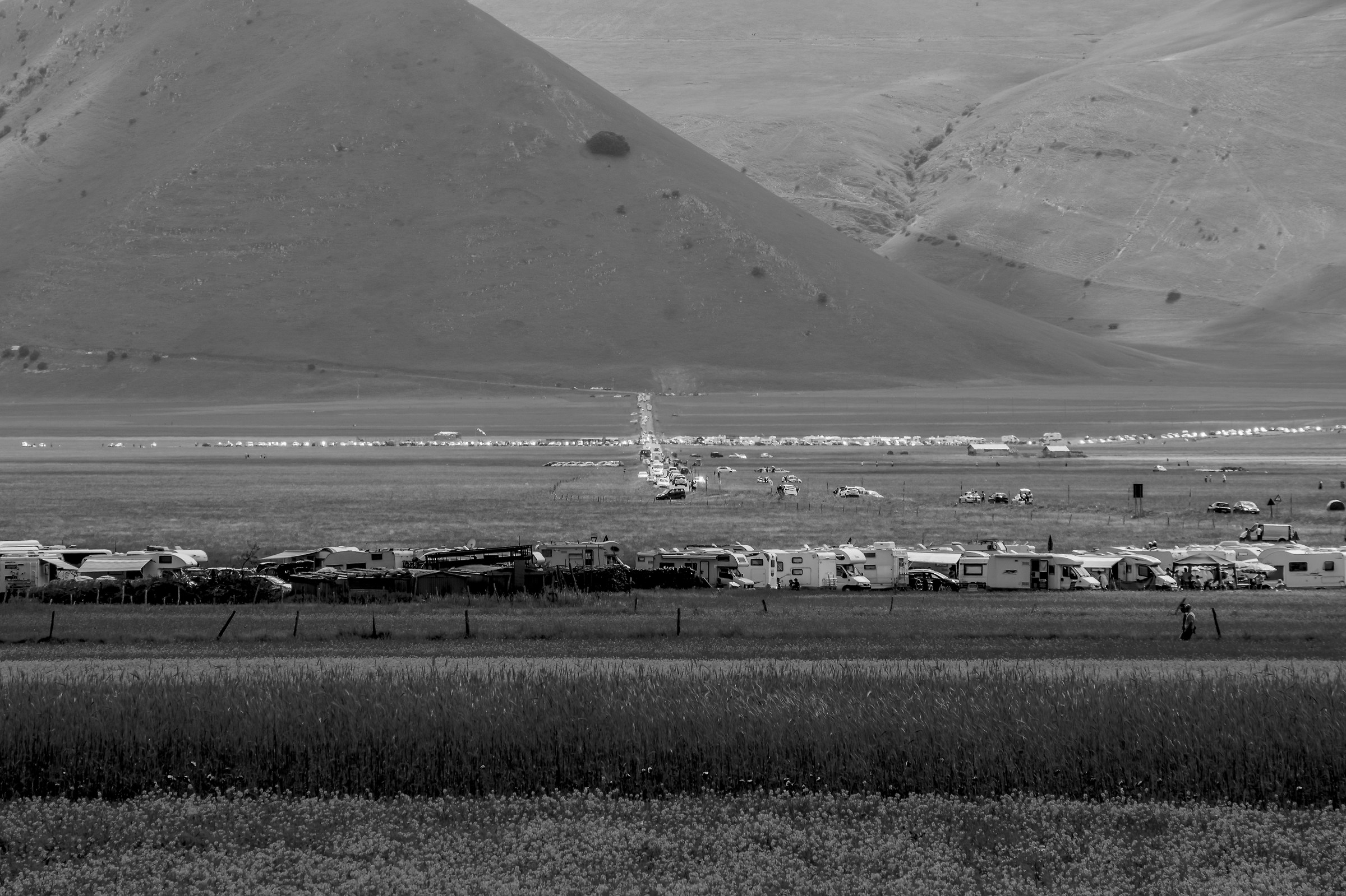 L'estasi della fioritura