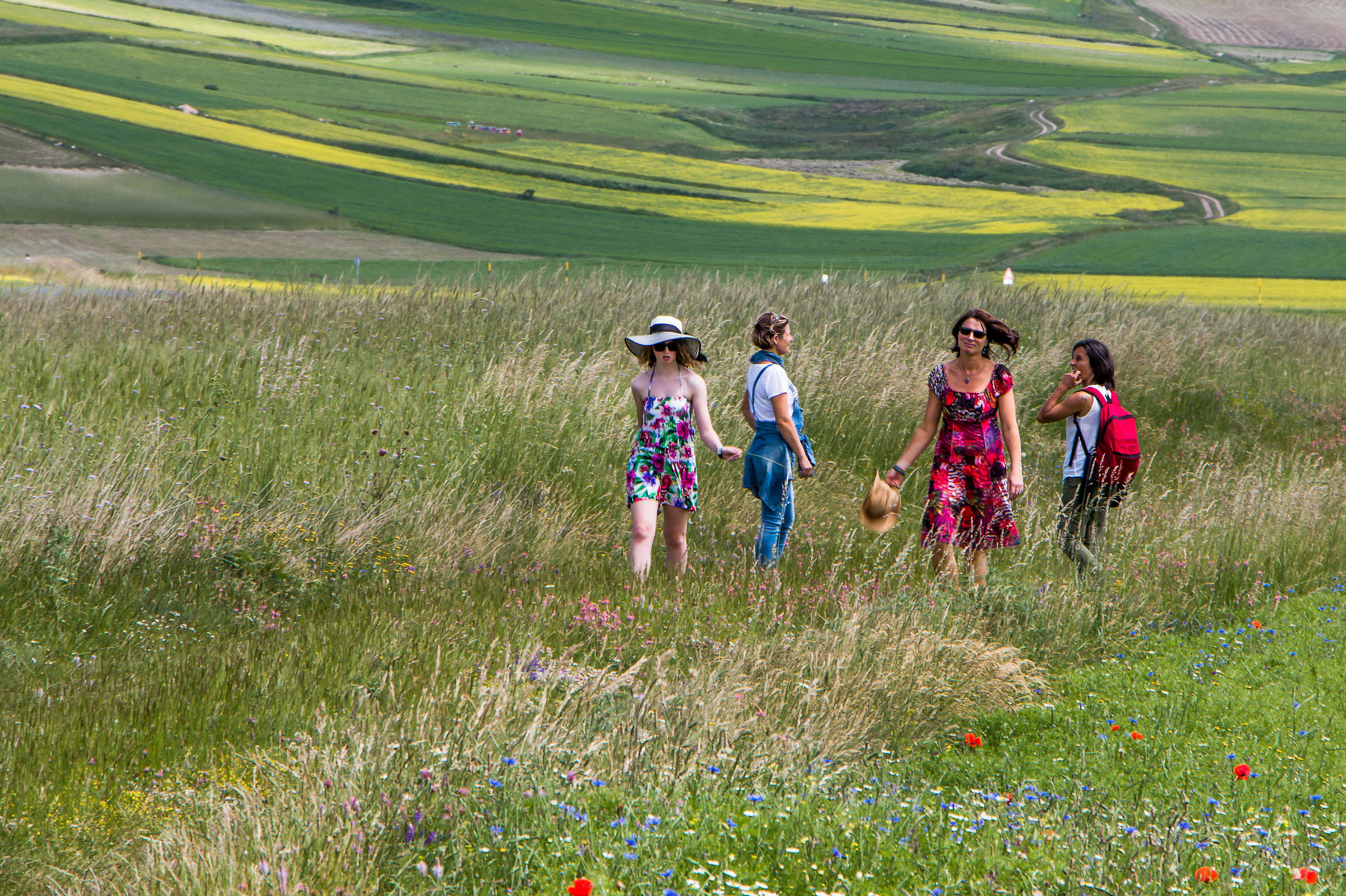 Street... per modo di dire