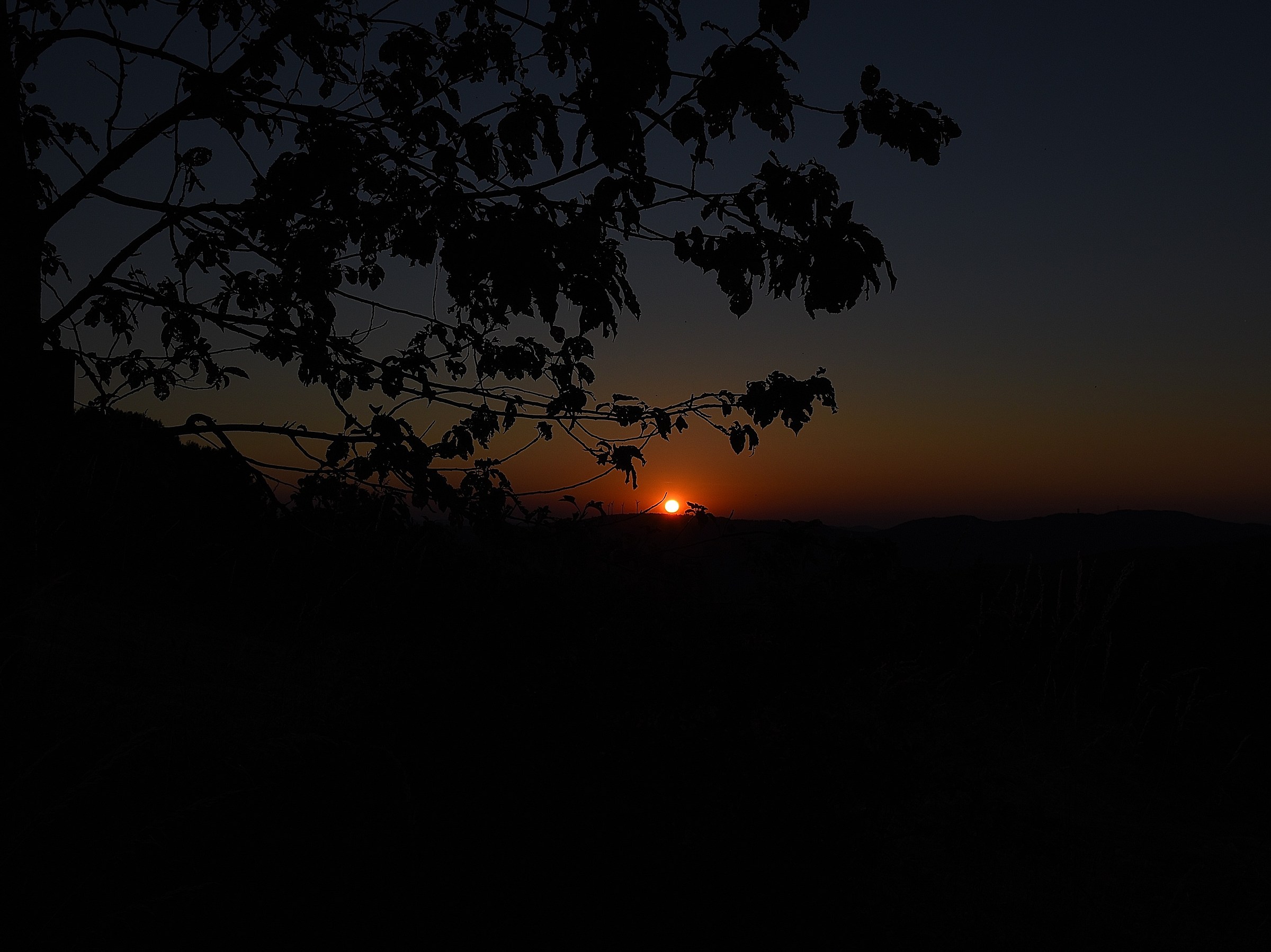 Tramonto Monghidorese 2