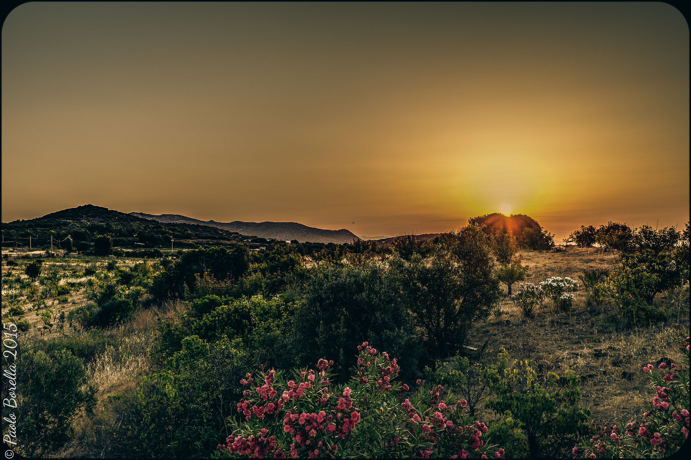 Alba nel giardino di Pula