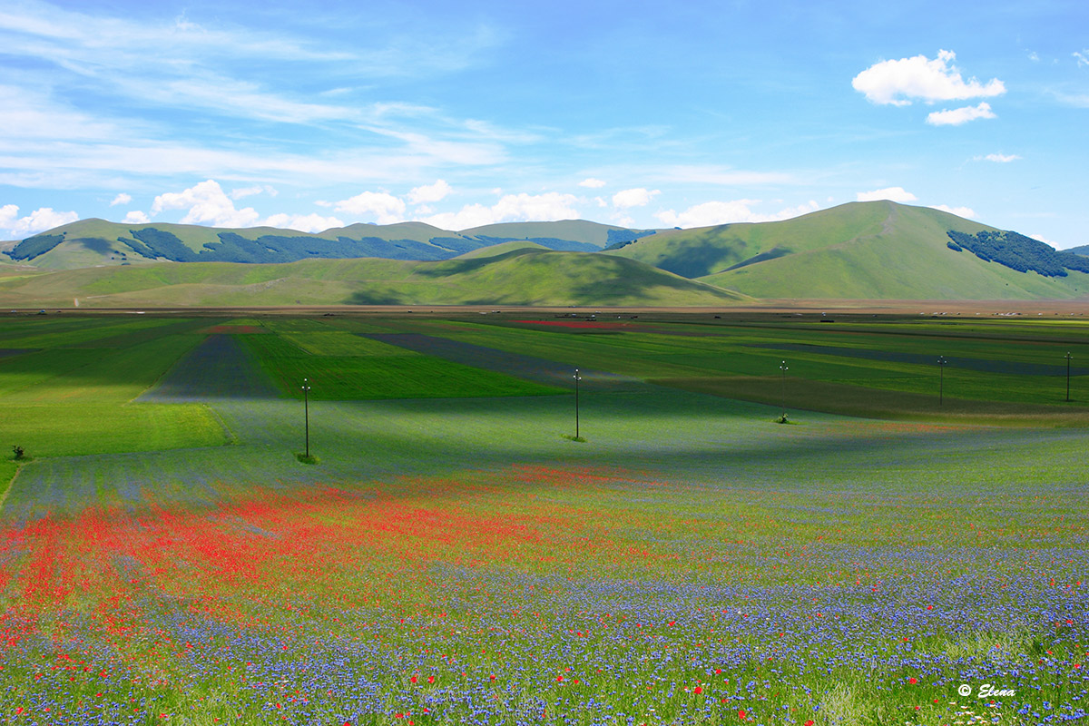 Castelluccio of Norcia in 2015 1